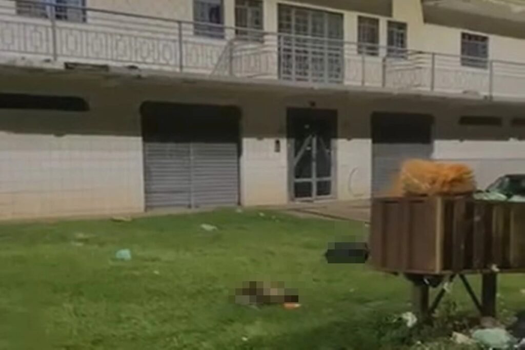 O que aconteceu com os animais encontrados no DF? 🐐 Dois animais, um bode e uma cabra, foram encontrados decapitados e mutilados em sacos de lixo no Gama, DF. A Polícia Militar foi acionada para investigar a denúncia de maus-tratos. Por que a polícia suspeita de rituais religiosos? A Polícia Civil investiga a possibilidade de os animais terem sido usados em rituais de sacralização, prática que transforma animais em seres sagrados. Como os animais foram encontrados? Os animais estavam em sacos plásticos, sem cabeça e patas, próximos a uma lata de lixo. A perícia preliminar confirmou que eram um bode e uma cabra. Há testemunhas do ocorrido? Até o momento, não foram encontradas testemunhas que tenham presenciado o crime ou possam indicar os responsáveis. Esse tipo de caso já ocorreu antes na região? Relatos de moradores indicam que episódios semelhantes já foram registrados anteriormente no local. Quais são os próximos passos da investigação? A Delegacia de Repressão aos Crimes contra os Animais continua as investigações para identificar os responsáveis e esclarecer o ocorrido.