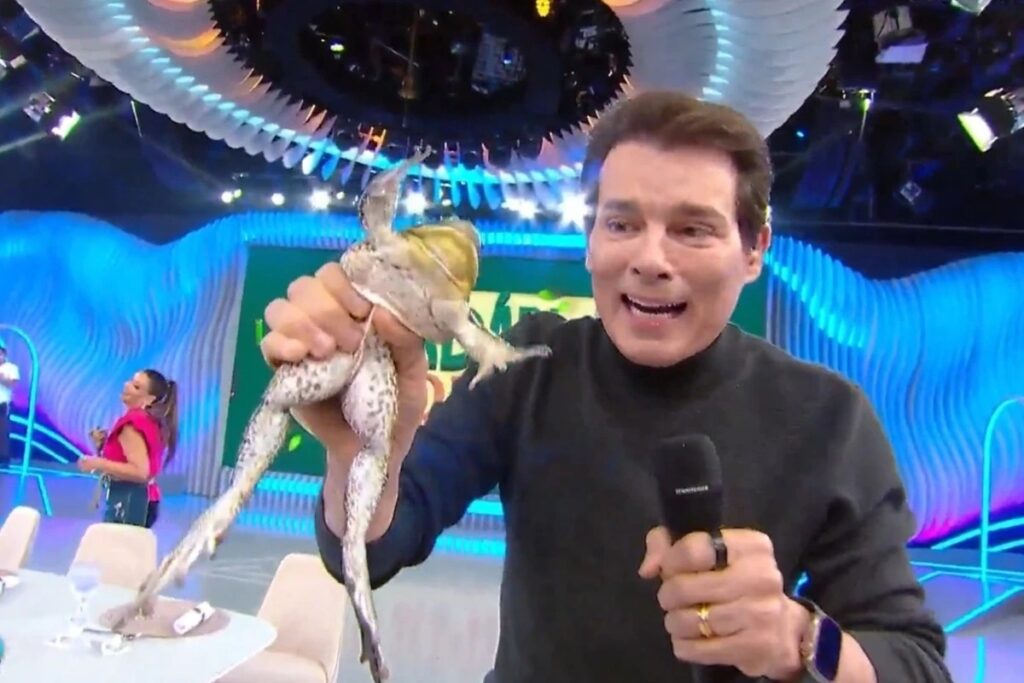 Durante uma exibição do programa **Domingo Legal**, apresentado por **Celso Portiolli**, um incidente envolvendo um animal vivo gerou uma onda de críticas e apoio nas redes sociais. Segundo a publicação, durante um dos quadros do programa, uma rã escapou, levando o apresentador a correr atrás do animal em uma cena que rapidamente se tornou viral. O episódio levantou questões sobre o uso de animais vivos em programas de televisão, gerando um debate acalorado entre telespectadores e defensores dos direitos dos animais. De acordo com o site, a reação do público foi dividida. Enquanto alguns espectadores acharam a situação engraçada e apoiaram a atitude descontraída de Celso Portiolli, outros criticaram duramente o uso de animais vivos para entretenimento. As críticas se concentraram principalmente na questão ética de expor animais a situações estressantes em um ambiente de estúdio, que pode não ser adequado para o bem-estar dos mesmos. Este tipo de prática tem sido cada vez mais questionado por organizações de proteção animal, que argumentam que o entretenimento não deve comprometer a saúde e o bem-estar dos animais. Além disso, o incidente trouxe à tona discussões mais amplas sobre a responsabilidade dos programas de televisão em relação ao tratamento de animais. Segundo o site, muitos defensores dos direitos dos animais aproveitaram a oportunidade para chamar a atenção para a necessidade de regulamentações mais rígidas sobre o uso de animais em produções de mídia. A repercussão do episódio no **Domingo Legal** destaca a crescente conscientização e preocupação do público com questões de ética animal, refletindo uma mudança nos valores sociais em relação ao tratamento de seres vivos em ambientes de entretenimento.