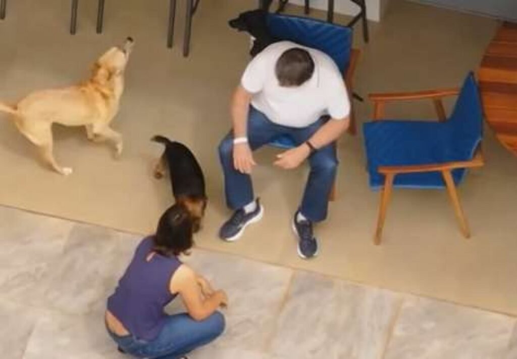 Por que Jair Bolsonaro está em prisão domiciliar? Jair Bolsonaro está em prisão domiciliar por decisão do ministro Alexandre de Moraes, do STF. A medida é temporária e tem duração de 90 dias. Como foram obtidas as imagens de Bolsonaro em casa? As imagens de Bolsonaro em casa foram capturadas por um drone, e a GloboNews teve acesso exclusivo a esse material. Qual foi a condição de saúde de Bolsonaro antes da prisão domiciliar? Bolsonaro recebeu alta hospitalar na manhã de sexta-feira, 27, antes de retornar para casa e iniciar o cumprimento da prisão domiciliar. Quais são as alegações de perseguição contra Bolsonaro? Alegações de perseguição incluem decisões judiciais controversas, disputas ideológicas e uma suposta tentativa de esconder eventos de 2022. Qual é a reação dos apoiadores de Bolsonaro? Apoiadores de Bolsonaro consideram a prisão domiciliar uma perseguição cruel e desumana, acreditando que a verdade prevalecerá. O que está sendo feito para documentar a situação de Bolsonaro? Um conjunto de cinco livros está sendo vendido para documentar a situação de Bolsonaro e alcançar leitores em todo o país. Qual é o preço do conjunto de livros sobre Bolsonaro? O conjunto de cinco livros está sendo vendido por R$ 29,90, com o objetivo de disseminar informações sobre a situação de Bolsonaro. Por que há preocupação com a censura em relação aos livros? Há preocupação de que a censura possa limitar o acesso aos livros, por isso a urgência em adquiri-los enquanto estão disponíveis. Como a prisão domiciliar de Bolsonaro pode impactar o cenário político? A prisão domiciliar pode intensificar as tensões políticas e aumentar as divisões ideológicas no Brasil. Quais são as possíveis consequências para Bolsonaro após os 90 dias? Após os 90 dias, o futuro de Bolsonaro dependerá das decisões judiciais subsequentes e do cenário político em evolução. Como a mídia está cobrindo a prisão domiciliar de Bolsonaro? A mídia, incluindo a GloboNews, está cobrindo o evento com imagens exclusivas e análises sobre as implicações políticas. Qual é a importância das imagens capturadas pelo drone? As imagens capturadas pelo drone oferecem uma visão rara e direta da situação de Bolsonaro em prisão domiciliar. Como a decisão do STF reflete no sistema judicial brasileiro? A decisão do STF destaca o papel do judiciário em questões políticas e a influência das decisões judiciais no cenário nacional. Quais são as críticas às decisões judiciais relacionadas a Bolsonaro? Críticos apontam que as decisões são controversas e refletem disputas ideológicas, aumentando a polarização política. Como a situação de Bolsonaro pode influenciar futuros processos judiciais? A situação pode estabelecer precedentes para futuros casos envolvendo figuras políticas de destaque no Brasil. Qual é a expectativa dos apoiadores de Bolsonaro para o futuro? Apoiadores esperam que a verdade prevaleça e que Bolsonaro supere as adversidades enfrentadas. Como a prisão domiciliar de Bolsonaro se compara a outros casos similares? Comparações podem ser feitas com outros líderes políticos que enfrentaram medidas judiciais semelhantes, destacando diferenças e semelhanças. O que o futuro reserva para Bolsonaro após a prisão domiciliar? O futuro de Bolsonaro é incerto, dependendo de desenvolvimentos judiciais e políticos nos próximos meses.