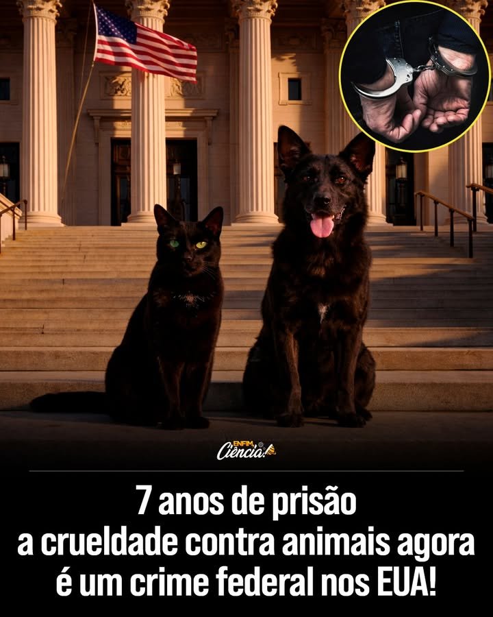 O que é a Lei PACT e por que é importante? A Lei PACT é uma legislação que torna a crueldade extrema contra animais um crime federal nos EUA. Ela é importante porque permite que autoridades federais processem casos graves de abuso, garantindo punições mais severas e efetivas. Como a Lei PACT muda a punição para agressores de animais? Com a Lei PACT, agressores de animais podem enfrentar até sete anos de prisão e multas pesadas. Antes, muitos escapavam com punições leves devido a falhas na legislação, especialmente em casos interestaduais ou em propriedades federais. Quais tipos de crueldade animal são cobertos pela Lei PACT? A Lei PACT cobre atos graves de crueldade, como queimaduras e esmagamentos. Esses abusos, que antes podiam passar impunes, agora são tratados com a seriedade de um crime federal, permitindo ações mais rigorosas contra os agressores. Por que a Lei PACT é considerada um divisor de águas na proteção animal? A Lei PACT é um divisor de águas porque marca o fim da impunidade para agressores de animais nos EUA. Ela estabelece que a vida dos animais é protegida por lei e que a crueldade extrema será punida severamente, promovendo uma sociedade mais justa e compassiva. Como a Lei PACT afeta casos de crueldade animal entre estados? Antes da Lei PACT, casos de crueldade animal entre estados enfrentavam dificuldades legais. Agora, com a nova legislação, autoridades federais podem intervir e processar esses casos, garantindo que os agressores não escapem da justiça. Quais são as consequências sociais da implementação da Lei PACT? A implementação da Lei PACT promove uma mudança cultural, reforçando a ideia de que a crueldade contra animais é inaceitável. Ela incentiva uma sociedade mais compassiva e consciente, onde a proteção animal é uma prioridade. Como a Lei PACT influencia a percepção pública sobre a crueldade animal? A Lei PACT influencia a percepção pública ao destacar a seriedade da crueldade animal como crime. Ela educa a sociedade sobre a importância da proteção animal e reforça que atos de violência contra animais não serão mais tolerados. Quais são os desafios na aplicação da Lei PACT? Um dos desafios na aplicação da Lei PACT é garantir que todas as autoridades estejam treinadas para identificar e processar casos de crueldade animal. Além disso, é necessário assegurar que os recursos para investigação e julgamento sejam adequados. Como a Lei PACT pode inspirar outras nações a protegerem os animais? A Lei PACT pode servir de modelo para outras nações, mostrando que é possível implementar legislações rigorosas para proteger os animais. Ela destaca a importância de tratar a crueldade animal com seriedade, incentivando ações globais semelhantes. Qual é o impacto da Lei PACT na legislação estadual sobre crueldade animal? A Lei PACT complementa a legislação estadual, permitindo que casos graves sejam tratados a nível federal. Isso fortalece as leis estaduais, garantindo que os agressores enfrentem consequências severas, independentemente da jurisdição. Como a sociedade pode apoiar a implementação da Lei PACT? A sociedade pode apoiar a implementação da Lei PACT denunciando casos de crueldade animal, educando-se sobre a legislação e promovendo o bem-estar animal. O apoio público é crucial para garantir que a lei seja efetiva e respeitada.