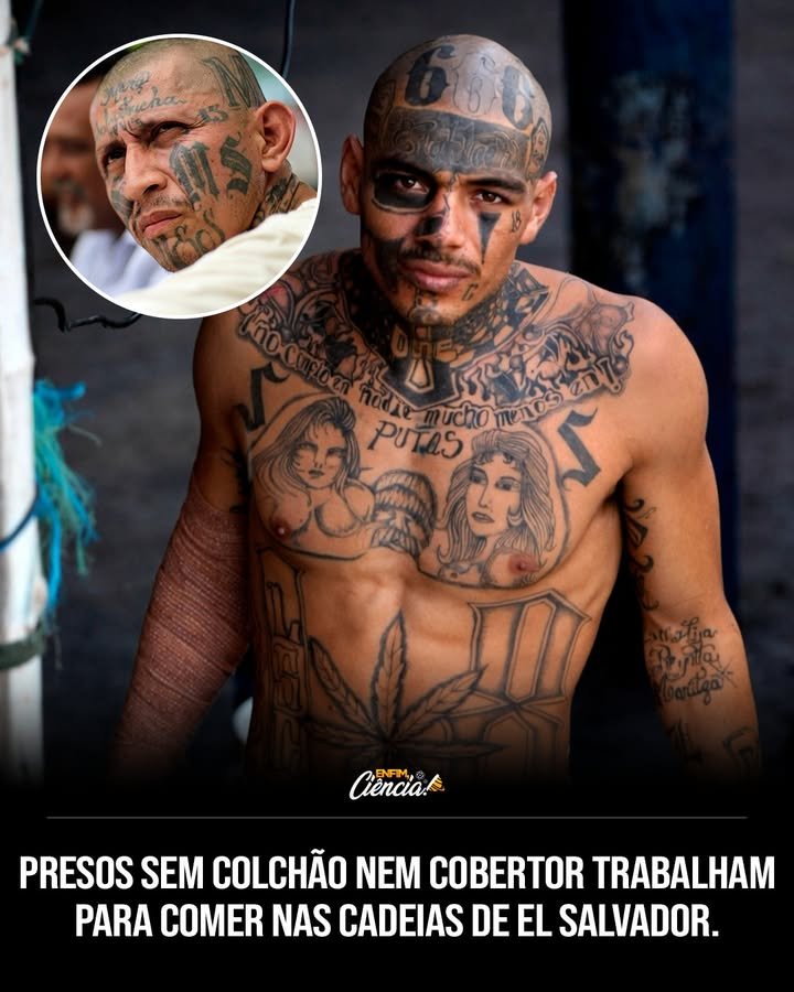 Como é a vida dos detentos na megapenitenciária do presidente Bukele? Os detentos vivem sem colchão, cobertor ou travesseiro, dormindo no concreto frio. O regime é de "tolerância zero", proibindo qualquer conforto. Por que o governo adota um regime tão severo na prisão? O governo acredita que não deve usar impostos para sustentar criminosos, preferindo investir em segurança e benefícios para a população. Quais são as regras para os detentos dentro da prisão? A regra é clara: o preso que não trabalha, não come. Isso visa eliminar o ócio e promover disciplina entre os detentos. Como a administração justifica as condições na prisão? A administração defende o modelo severo como a única solução eficaz contra a violência, apesar das críticas internacionais. Quais são as críticas feitas por organismos internacionais? Organismos internacionais denunciam as condições como desumanas, argumentando que violam direitos humanos básicos. Como a população reage a esse modelo penitenciário? A opinião pública está dividida; alguns apoiam a medida como necessária, enquanto outros criticam a falta de humanidade. Quais são os benefícios alegados pelo governo com esse sistema? O governo afirma que o sistema reduz a violência e o crime, liberando recursos para segurança e melhorias sociais. Como o regime de "tolerância zero" afeta a vida dos detentos? Os detentos vivem sob constante vigilância e pressão, sem espaço para descanso ou conforto, o que pode impactar sua saúde mental. Quais são as consequências a longo prazo desse modelo? A longo prazo, o modelo pode reduzir o crime, mas também pode gerar críticas internacionais e questões sobre direitos humanos. Como o sistema penitenciário de Bukele se compara a outros no mundo? É considerado um dos mais radicais, com foco em disciplina extrema e sem concessões ao conforto dos detentos. Quais são os argumentos a favor desse sistema? Defensores argumentam que a severidade é necessária para combater o crime e que os recursos devem beneficiar a sociedade, não os criminosos. Quais são os argumentos contra esse sistema? Críticos dizem que o sistema é desumano e que a reabilitação deve ser o foco, não apenas a punição. Como esse modelo afeta a imagem internacional do país? O modelo atrai críticas de direitos humanos, mas também elogios por sua eficácia na redução do crime, gerando um debate global. O que pode mudar no futuro desse sistema penitenciário? Mudanças podem ocorrer se houver pressão internacional significativa ou se o modelo provar ser insustentável a longo prazo. Como a sociedade pode influenciar mudanças nesse sistema? Através de pressão política, protestos e advocacy, a sociedade pode influenciar reformas e promover um equilíbrio entre segurança e direitos humanos.