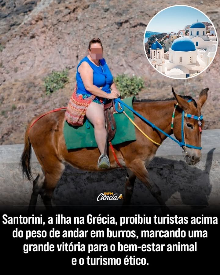 Por que Santorini decidiu implementar novas regras para os burros de trabalho? Após anos de preocupação com maus-tratos, Santorini introduziu regras rígidas para proteger os burros usados no transporte de turistas, visando melhorar o bem-estar animal. Quais são as principais mudanças nas regras para os burros em Santorini? As reformas proíbem que pessoas com mais de 100 kg montem nos burros, limitam o peso das cargas e exigem descanso adequado, cuidados veterinários, água e condições de trabalho humanizadas. Como as novas regras afetam o turismo em Santorini? As medidas representam um avanço em direção ao turismo ético, promovendo práticas mais sustentáveis e responsáveis, o que pode atrair turistas conscientes. Quais são os benefícios dessas regras para os burros? Os burros terão menos sobrecarga, acesso a cuidados veterinários, descanso adequado e melhores condições de trabalho, melhorando sua saúde e qualidade de vida. Como a comunidade local reagiu às novas regras? A reação varia; alguns apoiam as mudanças por promoverem o bem-estar animal, enquanto outros se preocupam com o impacto econômico nas atividades turísticas. As novas regras podem inspirar outras regiões turísticas? Sim, Santorini pode servir de exemplo para outras áreas que utilizam animais no turismo, incentivando a adoção de práticas mais éticas e sustentáveis. Quais são as consequências para quem não seguir as novas regras? Embora não especificado, é provável que haja penalidades para garantir o cumprimento das normas, protegendo assim os burros de maus-tratos. Como as regras impactam a imagem de Santorini como destino turístico? A iniciativa pode melhorar a imagem de Santorini, destacando-a como um destino que valoriza o bem-estar animal e o turismo responsável. Os turistas estão cientes dessas mudanças? Informações sobre as novas regras devem ser amplamente divulgadas para garantir que turistas respeitem as diretrizes e contribuam para o bem-estar dos burros. Qual é o papel dos turistas na proteção dos burros? Turistas podem ajudar respeitando as regras, escolhendo alternativas de transporte e apoiando práticas de turismo ético na ilha. Como as novas regras se alinham com tendências globais de turismo? Elas refletem uma crescente demanda por turismo sustentável e ético, onde o bem-estar animal e a responsabilidade social são prioridades. Quais desafios Santorini pode enfrentar na implementação das regras? Desafios incluem garantir a fiscalização eficaz, educar turistas e operadores locais, e equilibrar interesses econômicos com o bem-estar animal. As regras podem evoluir no futuro? Sim, as regras podem ser ajustadas com base em avaliações contínuas, feedback da comunidade e avanços em práticas de bem-estar animal. Como as novas regras beneficiam a economia local a longo prazo? Promovendo um turismo mais ético, Santorini pode atrair um público mais consciente, potencialmente aumentando a demanda por experiências sustentáveis. As mudanças podem influenciar a cultura local? Sim, ao promover o respeito e cuidado com os animais, as regras podem incentivar uma cultura de maior consciência e responsabilidade ambiental na comunidade.