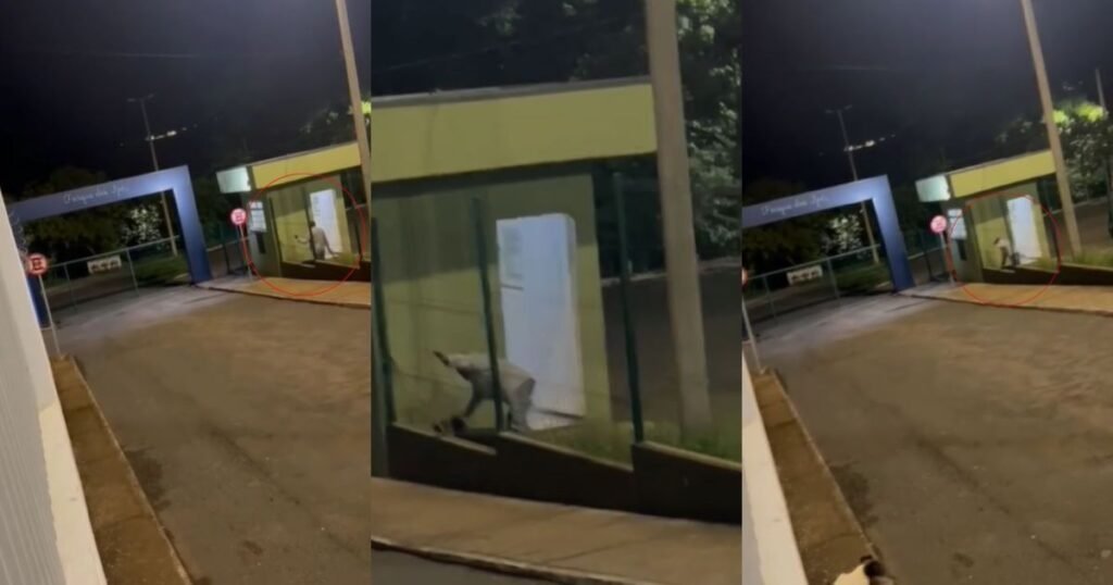 O que aconteceu em São Gotardo, MG? Um funcionário de parque foi preso por agredir um cachorro com bambu. A ação foi filmada e levou à sua identificação e prisão. Como a agressão foi descoberta? Denúncias e um vídeo registraram o ato, permitindo a identificação do agressor, que era guarda noturno no parque. Qual foi a justificativa do agressor? Inicialmente, ele negou, mas depois admitiu ter usado bambu para espantar o cão da guarita. Quais foram as consequências para o agressor? Ele foi preso em flagrante e encaminhado ao sistema prisional após os procedimentos legais. Como a Prefeitura de São Gotardo reagiu? A Prefeitura reafirmou seu compromisso com a proteção animal e está tomando medidas legais. Qual é o estado de saúde do cachorro? O animal recebeu atendimento e está bem após o incidente. 🐶 O que isso significa para a proteção animal na região? O caso destaca a importância de denúncias e ações rápidas para proteger os animais de maus-tratos.