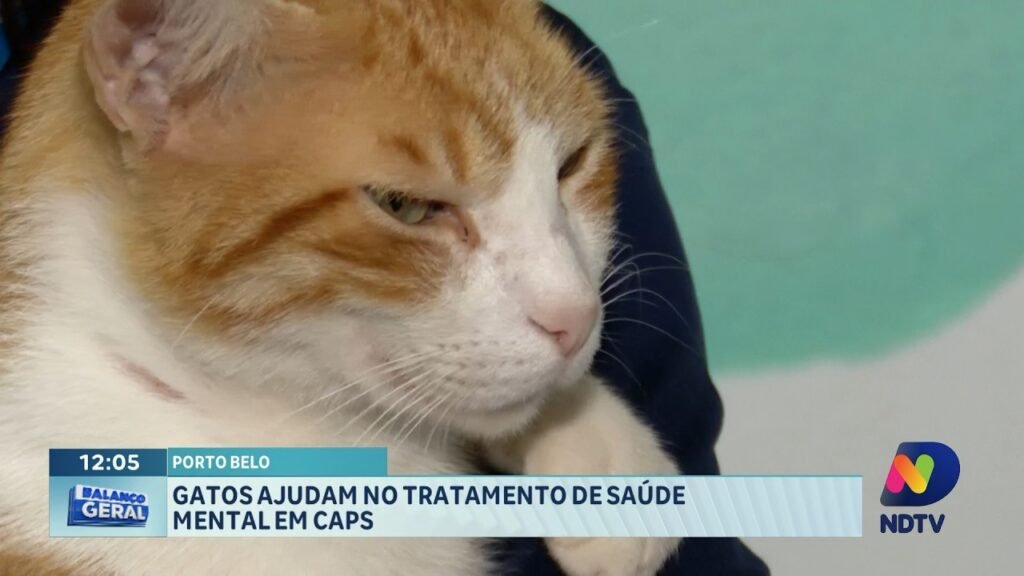 Como os gatos ajudam no tratamento de saúde mental em unidades CAPS? Os gatos promovem bem-estar emocional, reduzem a ansiedade e estimulam a socialização. Sua presença torna o ambiente mais acolhedor, favorecendo a recuperação dos pacientes. Por que a presença de gatos é considerada uma prática terapêutica complementar? Eles ajudam a fortalecer vínculos afetivos e auxiliam na rotina de cuidados com a saúde mental, complementando tratamentos tradicionais. Quais são os benefícios emocionais do contato com gatos para os pacientes? O contato com gatos pode reduzir a ansiedade, promover relaxamento e aumentar a sensação de bem-estar, contribuindo para a saúde mental. Como os gatos estimulam a socialização entre os usuários dos CAPS? A presença dos gatos incentiva interações entre os pacientes, criando oportunidades para conversas e atividades em grupo, melhorando a socialização. De que forma os gatos tornam o ambiente dos CAPS mais acolhedor? Os gatos criam um ambiente mais tranquilo e confortável, o que ajuda os pacientes a se sentirem mais à vontade e receptivos ao tratamento. Quais são os resultados observados com a presença de gatos nos CAPS? Profissionais relatam resultados positivos, com pacientes mostrando melhorias no bem-estar emocional e na capacidade de socialização. Como a presença de gatos pode fortalecer vínculos afetivos? Interagir com gatos pode despertar sentimentos de carinho e cuidado, fortalecendo vínculos afetivos e emocionais entre pacientes e animais. Por que a estratégia de incluir gatos nos CAPS é considerada eficaz? A estratégia é eficaz porque complementa tratamentos tradicionais, oferecendo benefícios emocionais e sociais que favorecem a recuperação. Quais são os desafios de integrar gatos no tratamento de saúde mental? Desafios incluem garantir o bem-estar dos animais e adaptar o ambiente para que a presença dos gatos seja segura e benéfica para todos. Como os profissionais dos CAPS avaliam a inclusão de gatos no tratamento? Profissionais destacam a eficácia da estratégia, observando melhorias no ambiente e no bem-estar dos pacientes, tornando o tratamento mais humanizado. Os gatos podem substituir tratamentos convencionais nos CAPS? Não, eles são uma prática complementar que potencializa os efeitos dos tratamentos convencionais, oferecendo suporte emocional adicional. Como a comunidade de Itajaí e região vê essa iniciativa? A comunidade vê a iniciativa de forma positiva, reconhecendo os benefícios que os gatos trazem para o tratamento de saúde mental nos CAPS. Quais são as expectativas futuras para o uso de gatos em tratamentos nos CAPS? Espera-se que a prática se expanda, com mais unidades adotando a presença de gatos para melhorar o bem-estar dos pacientes. Como os pacientes reagem à presença dos gatos nos CAPS? Pacientes geralmente reagem de forma positiva, mostrando-se mais calmos e receptivos ao tratamento, o que favorece sua recuperação. Qual é o papel dos gatos na rotina de cuidados com a saúde mental? Os gatos ajudam a criar uma rotina mais leve e agradável, incentivando o cuidado contínuo com a saúde mental e emocional dos pacientes. 🐱