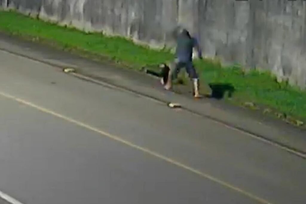 **Homem Agride Tamanduá com Pauladas e Arrasta Animal Inconsciente: O Que Sabemos?** O que aconteceu em Turvo, Santa Catarina? Na madrugada de terça-feira, 24 de março, um incidente chocante ocorreu em Turvo, no Sul de Santa Catarina. Um homem de 36 anos foi flagrado por câmeras de segurança agredindo um **tamanduá-mirim** com um pedaço de madeira. As imagens, que rapidamente se espalharam pelas redes sociais, mostram o homem golpeando o animal repetidamente e, em seguida, arrastando-o pela rua enquanto o tamanduá aparenta estar desacordado. Quem é o agressor e qual foi sua justificativa? O agressor foi identificado e, após a repercussão do caso, procurou a delegacia para admitir as agressões. Segundo a **Polícia Civil**, ele relatou que estava pedalando pela região quando encontrou o tamanduá e, acreditando que poderia ser atacado, decidiu agir de forma violenta. Essa justificativa, no entanto, levanta questões sobre a percepção e o tratamento de animais silvestres por parte da população. Qual é a espécie do animal agredido e quais são suas características? O animal agredido é um **tamanduá-mirim**, uma espécie de médio porte encontrada no Brasil. Embora possua garras que podem ser usadas para defesa, o comportamento agressivo não é comum nessa espécie. Os tamanduás-mirins são geralmente pacíficos e evitam confrontos, o que torna a agressão ainda mais injustificável. Quais são as consequências legais para o agressor? O caso foi registrado como **maus-tratos a animais**, uma infração prevista na legislação brasileira. O suspeito assinou um termo circunstanciado, e o procedimento será encaminhado ao Judiciário. A legislação brasileira é clara ao prever punições para quem pratica maus-tratos contra animais, incluindo aqueles que vivem em ambiente silvestre. As penalidades podem variar de multas a penas mais severas, dependendo da gravidade do caso. Por que a proteção aos animais silvestres é importante? A proteção aos animais silvestres é crucial para a preservação da biodiversidade e o equilíbrio dos ecossistemas. Espécies como o tamanduá-mirim desempenham papéis importantes na natureza, como o controle de populações de insetos. Além disso, a violência contra animais é um indicador preocupante de insensibilidade e desrespeito à vida, o que pode refletir em comportamentos agressivos em outras áreas da sociedade. Como a sociedade pode ajudar na proteção dos animais? A conscientização é um passo fundamental. Educar a população sobre a importância dos animais silvestres e seus papéis nos ecossistemas pode reduzir incidentes de violência. Além disso, denunciar casos de maus-tratos e apoiar organizações de proteção animal são ações que podem fazer a diferença. A legislação também precisa ser rigorosamente aplicada para desestimular práticas cruéis. O que este caso nos ensina sobre a relação entre humanos e animais? Este incidente destaca a necessidade de uma convivência mais harmoniosa entre humanos e animais. É essencial que as pessoas compreendam que os animais silvestres, como o tamanduá-mirim, não são ameaças, mas sim partes vitais do nosso ambiente. Promover o respeito e a empatia por todas as formas de vida é um passo importante para uma sociedade mais justa e equilibrada. Em resumo, o caso do tamanduá agredido em Turvo é um lembrete doloroso da violência que ainda ocorre contra animais. No entanto, também é uma oportunidade para refletir sobre como podemos melhorar nossa relação com a natureza e garantir que tais incidentes não se repitam.