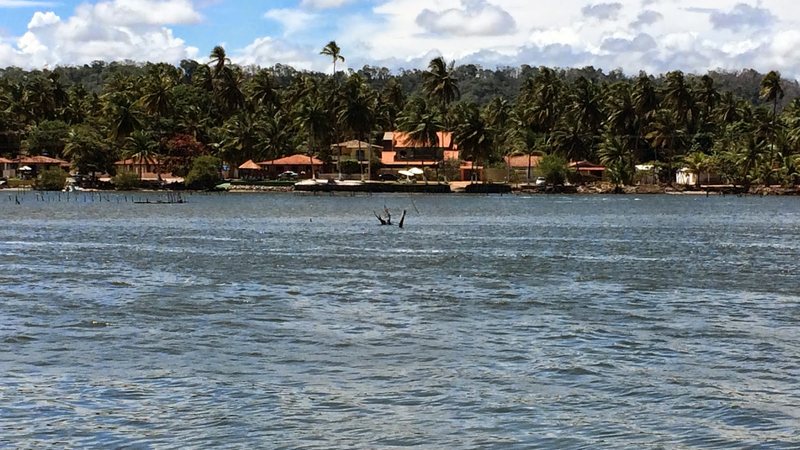 **Homem morre afogado após saltar de catamarã e ser arrastado por correnteza** Um trágico incidente ocorreu quando um homem perdeu a vida ao se afogar após saltar de um **catamarã** e ser arrastado pela correnteza. Segundo a publicação do TNH1, o acidente aconteceu em um momento de lazer, quando o homem decidiu pular na água. Infelizmente, ele não conseguiu retornar ao barco devido à força da correnteza, que rapidamente o afastou da embarcação e o levou a uma situação de perigo iminente. Este tipo de acidente ressalta a importância de se estar ciente das condições do ambiente aquático e dos riscos associados a atividades recreativas em águas abertas. O relato do TNH1 destaca que o homem estava em um passeio de catamarã, uma embarcação popular para atividades turísticas e de lazer em regiões costeiras. Esses passeios são frequentemente realizados em áreas de beleza natural, onde as águas podem parecer calmas à primeira vista, mas escondem correntes traiçoeiras. A tragédia sublinha a necessidade de precauções adicionais, como o uso de coletes salva-vidas e a avaliação das condições climáticas e marítimas antes de entrar na água. Além disso, a presença de guias ou instrutores experientes pode ser crucial para garantir a segurança dos participantes durante essas atividades. A morte do homem serve como um alerta para a importância da conscientização sobre segurança aquática. De acordo com especialistas, é fundamental que as pessoas sejam informadas sobre os perigos potenciais ao participar de atividades em ambientes aquáticos, especialmente em áreas desconhecidas. A tragédia relatada pelo TNH1 reforça a necessidade de campanhas de conscientização e educação sobre segurança no mar, visando prevenir futuros incidentes e garantir que momentos de lazer não se transformem em tragédias.
