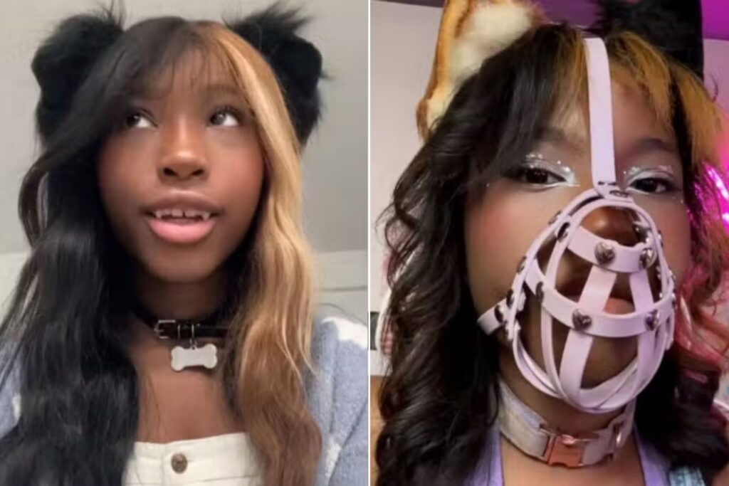 A **Milk Luv** é uma jovem que se identifica como **lulu da Pomerânia** e vive como uma cadela, atraindo a atenção de milhares de pessoas nas redes sociais. Com mais de 60 mil seguidores no **Instagram** e no **TikTok**, ela se tornou uma figura influente e intrigante, despertando curiosidade e debates sobre identidade e comportamento. A escolha de se identificar como um **lulu da Pomerânia** não é apenas uma questão de aparência, mas também de estilo de vida. Milk Luv adota comportamentos e rotinas que refletem a vida de um cão dessa raça, conhecida por sua personalidade extrovertida e aparência encantadora. Este fenômeno não é isolado e faz parte de um movimento maior onde indivíduos exploram identidades alternativas, muitas vezes desafiando normas sociais tradicionais. A presença de Milk Luv nas redes sociais é marcada por postagens que mostram seu dia a dia, interações e a forma como incorpora essa identidade em sua vida cotidiana. Seus vídeos e fotos frequentemente destacam características típicas de um lulu da Pomerânia, como brincadeiras, passeios e até mesmo a forma como se comunica com seus seguidores. Essa abordagem autêntica e consistente contribuiu para o crescimento de sua popularidade online. O impacto de Milk Luv nas redes sociais vai além do entretenimento. Ela se tornou um ponto de referência para discussões sobre identidade e autoexpressão. Em um mundo onde as redes sociais oferecem uma plataforma para a diversidade de vozes e experiências, histórias como a de Milk Luv desafiam percepções tradicionais e incentivam o diálogo sobre o que significa ser autêntico. A escolha de viver como um lulu da Pomerânia também levanta questões sobre a relação entre identidade e aceitação social. Milk Luv encontrou uma comunidade que a apoia e celebra sua escolha, demonstrando que, apesar das críticas, há espaço para a diversidade de identidades. Essa aceitação é crucial para muitos que buscam viver de acordo com suas verdadeiras identidades, independentemente de quão não convencionais possam parecer. Além disso, a história de Milk Luv destaca o papel das redes sociais na formação de comunidades e na promoção de narrativas alternativas. Plataformas como Instagram e TikTok permitem que indivíduos compartilhem suas histórias de maneira visual e envolvente, alcançando públicos amplos e diversos. Para Milk Luv, essas plataformas são mais do que apenas um meio de expressão; são um espaço onde ela pode ser verdadeiramente ela mesma e encontrar apoio. Em resumo, a jornada de Milk Luv como uma jovem que se identifica como lulu da Pomerânia é um exemplo fascinante de como a identidade pode ser explorada e expressa de maneiras inovadoras. Sua presença nas redes sociais não apenas entretém, mas também inspira conversas importantes sobre aceitação, diversidade e a liberdade de ser quem realmente somos. A história de Milk Luv continua a ressoar com muitos, destacando a importância de abraçar a autenticidade em todas as suas formas.