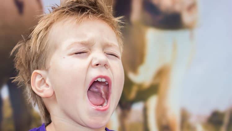 A **juventude de hoje** vive em um mundo marcado pela **tecnologia** e pela rapidez das mudanças. Este cenário apresenta desafios únicos para os pais e avós, que muitas vezes encontram dificuldades para educar seus filhos e netos. A **falta de respeito** para com os mais velhos pode ser um reflexo dessa nova realidade, onde os jovens estão constantemente expostos a uma variedade de estímulos e informações que moldam suas percepções e comportamentos. A **educação** é um dos pilares fundamentais para o desenvolvimento de crianças respeitosas e conscientes. No entanto, com a evolução tecnológica, os métodos tradicionais de ensino e disciplina podem não ser tão eficazes quanto eram no passado. Os jovens de hoje têm acesso a uma quantidade quase ilimitada de informações através da internet, o que pode influenciar suas atitudes e valores de maneiras que os pais e avós não experimentaram em sua juventude. Para que uma criança desenvolva o **respeito** pelos pais e avós, é essencial que haja um ambiente familiar que promova o diálogo e a compreensão mútua. Os pais devem estar dispostos a entender o mundo em que seus filhos vivem, reconhecendo que, embora os tempos tenham mudado, os valores fundamentais como respeito, empatia e responsabilidade permanecem importantes. Criar um espaço onde as crianças se sintam ouvidas e valorizadas pode ajudar a construir uma base sólida de respeito. Além disso, é crucial que os pais e avós sirvam como **modelos de comportamento**. As crianças aprendem muito observando os adultos ao seu redor. Demonstrar respeito em suas próprias interações, tanto dentro quanto fora do ambiente familiar, ensina às crianças a importância desse valor. Quando os jovens veem seus pais e avós tratando os outros com dignidade e consideração, é mais provável que eles imitem esse comportamento. Outro aspecto importante é a **comunicação**. Em um mundo onde a comunicação digital muitas vezes substitui as interações face a face, é vital que as famílias incentivem conversas abertas e honestas. Isso não apenas fortalece os laços familiares, mas também ensina às crianças a importância de expressar seus sentimentos e opiniões de maneira respeitosa. A **disciplina** também desempenha um papel crucial na educação de crianças respeitosas. No entanto, é importante que a disciplina seja aplicada de maneira justa e consistente. Em vez de punições severas, os pais devem buscar métodos que ensinem as consequências das ações de forma construtiva. Isso ajuda as crianças a entenderem o impacto de seu comportamento e a importância de respeitar os outros. Por fim, é essencial reconhecer que cada criança é única e pode responder de maneira diferente aos métodos de educação. Os pais e avós devem estar dispostos a adaptar suas abordagens às necessidades individuais de cada criança, sempre com o objetivo de promover o respeito e a compreensão. Em suma, criar um ambiente onde o respeito é cultivado e valorizado é fundamental para o desenvolvimento de crianças que respeitarão não apenas seus pais e avós, mas também todos ao seu redor. A combinação de **modelagem de comportamento**, **comunicação eficaz** e **disciplina justa** pode ajudar a preparar os jovens para se tornarem adultos respeitosos e responsáveis em um mundo em constante mudança.