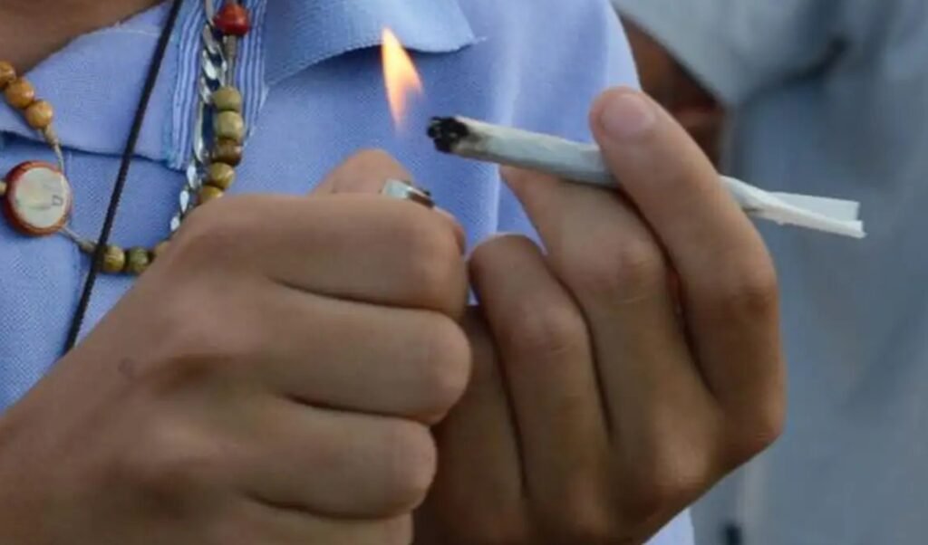 Qual é o impacto do uso de maconha na adolescência? O uso de maconha na adolescência dobra o risco de transtornos psicóticos e bipolares, além de aumentar a probabilidade de depressão e ansiedade. Quais são as evidências do estudo sobre maconha e saúde mental? O estudo, publicado na JAMA Health Forum, acompanhou mais de 460 mil adolescentes e mostrou que o uso de cannabis está associado a diagnósticos psiquiátricos entre 1,7 e 2,3 anos após o consumo. Quem conduziu a pesquisa sobre o uso de maconha? Pesquisadores da Universidade da Califórnia, do grupo Kaiser Permanente e do Instituto de Saúde Pública de Oakland lideraram o estudo. Como a cannabis afeta a saúde mental dos jovens? A exposição à cannabis na adolescência é um fator de risco para doenças mentais graves, como transtornos psicóticos e bipolares. Por que o estudo sobre maconha é relevante? Com a cannabis se tornando mais potente e comercializada agressivamente, o estudo destaca o risco aumentado de transtornos psiquiátricos em adolescentes. Qual é a prevalência do uso de maconha entre adolescentes nos EUA? Nos EUA, o consumo de maconha sobe de 8% na 8ª série para 26% na 12ª série, sendo a droga ilegal mais consumida por adolescentes. Como o uso de maconha no Brasil se compara ao dos EUA? No Brasil, a maconha também é a droga ilegal mais utilizada, com o consumo subindo de 2,8% para 6% entre as edições do levantamento LENAD III.