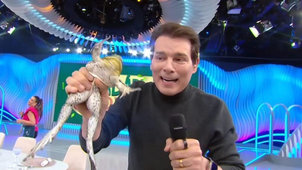 Uma cena exibida na TV aberta virou alvo de investigação e colocou **Celso Portiolli** e o **SBT** no centro de uma apuração do **Ministério Público de São Paulo**. O que aconteceu para um quadro de entretenimento provocar reação tão forte? A resposta começa em uma edição do **Domingo Legal**, exibida em **22 de março**, e avança a partir de uma denúncia formal apresentada por organizações de defesa animal. Mas qual foi o ponto que levou o caso até o Ministério Público? Segundo as informações publicadas pela **Folha de S.Paulo** e reproduzidas pelo **ND Mais**, a apuração foi aberta para verificar uma possível prática de **maus-tratos a animal** durante o quadro **“Cardápio Surpresa”**. A queixa-crime aponta irregularidades no uso de uma **rã** levada ao estúdio como parte de uma dinâmica culinária com ingredientes considerados exóticos. E o que ocorreu durante a gravação? No programa, que tinha participação de convidados, o anfíbio apareceu em cena e, em determinado momento, **escapou no cenário**. A fuga gerou reações imediatas dos participantes e também do apresentador, que tentou contê-lo. Por que isso ampliou a repercussão? Porque, na sequência, a **chef responsável** afirmou que **outras rãs** foram utilizadas no preparo de uma receita servida aos convidados. Foi essa fala que provocou a reação negativa? A repercussão não se limitou a um único momento, mas o conjunto da cena passou a ser criticado nas redes sociais. O uso do animal no estúdio, a forma como ele apareceu na dinâmica e a menção ao preparo da receita fizeram o episódio ganhar visibilidade rapidamente. O que veio depois disso? Entidades de proteção animal divulgaram **notas de repúdio** e formalizaram a denúncia junto ao Ministério Público. O que essas organizações alegam? De acordo com a denúncia, o animal teria sido exposto a **situações de estresse** e a possível **sofrimento**. A partir dessa formalização, o Ministério Público iniciou **diligências** para apurar os fatos. Isso significa que já houve decisão sobre o caso? Não. O que existe até agora é uma investigação em andamento para esclarecer o que ocorreu e verificar se houve irregularidade. Quem deve se manifestar nessa apuração? Conforme as informações divulgadas, **Celso Portiolli** e o **SBT** devem ser notificados para prestar esclarecimentos. E qual foi a resposta da emissora até o momento? Procurado, o **SBT** informou que **não irá se manifestar sobre o caso**. E o apresentador? Até a última atualização citada na reportagem, **Celso Portiolli não havia respondido** aos contatos feitos pela imprensa. A reação do público começou só depois da investigação? Não. Antes mesmo da abertura formal da apuração, o conteúdo já vinha sendo alvo de críticas entre internautas. Onde isso ficou mais visível? Nos comentários do vídeo oficial do programa publicado no **YouTube**, usuários demonstraram indignação com o que assistiram. O tom das mensagens ajuda a entender a dimensão da repercussão? Sim. Entre os comentários citados, uma usuária escreveu: **“Gente, isso é maus-tratos! Que absurdo”**. Outra comentou: **“E ninguém acha nada demais. Bizarro isso”**. Um terceiro questionou: **“Normalizaram maus-tratos aos animais em TV aberta?”** Então, o que está sendo apurado exatamente? O **Ministério Público de São Paulo** investiga uma denúncia de possível **maus-tratos a uma rã** exibida no quadro **“Cardápio Surpresa”**, do **Domingo Legal**, programa do **SBT** apresentado por **Celso Portiolli**, após o episódio de **22 de março** em que o animal foi levado ao estúdio, escapou no cenário e, em seguida, houve a afirmação de que **outras rãs foram usadas no preparo de uma receita servida aos convidados**.