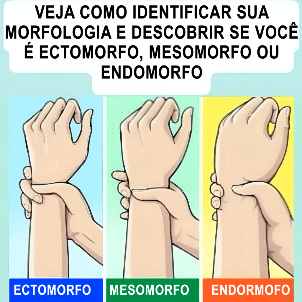 Você é ectomorfo, mesomorfo ou endomorfo? Descubra qual é o seu tipo de corpo e como aproveitar ao máximo cada característica