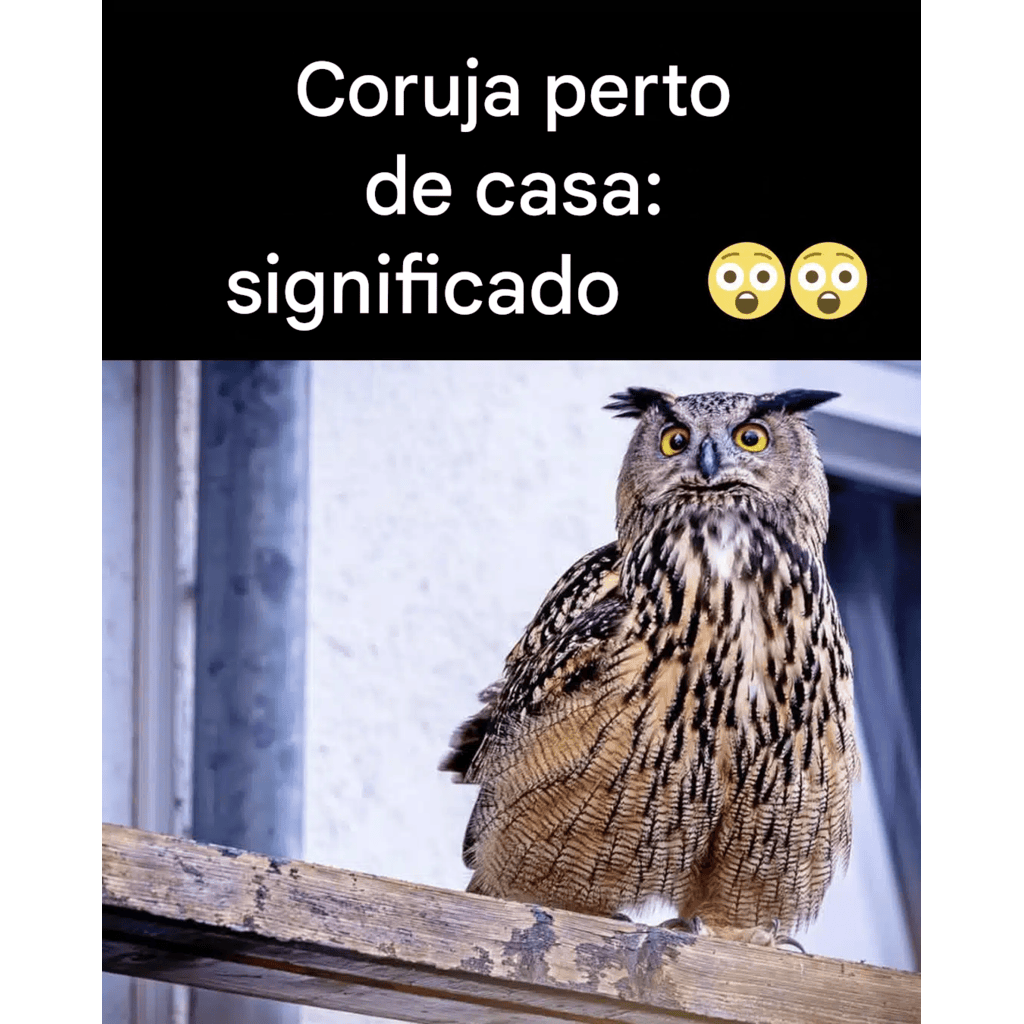 Você sabe o que significa quando uma coruja aparece perto de você?