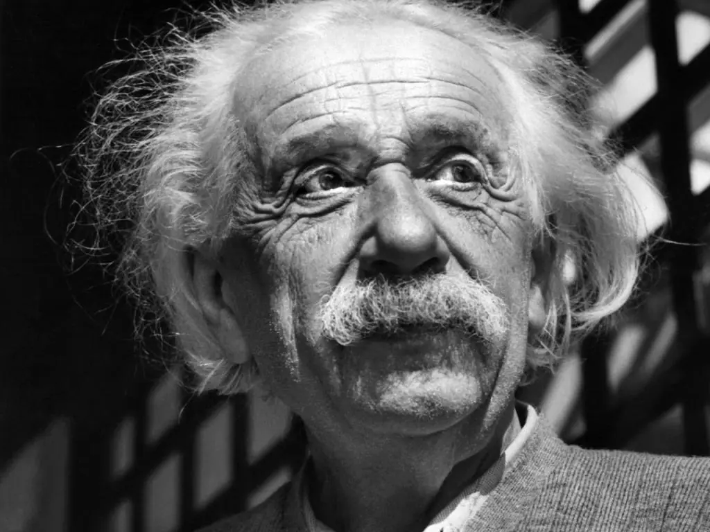 Albert Einstein: as palavras que um homem sábio jamais diria diante de uma mulher