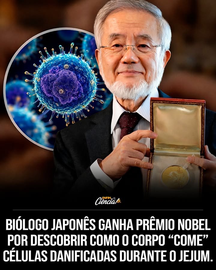 Quem é Yoshinori Ohsumi e por que ele é importante? Yoshinori Ohsumi é um biólogo japonês que ganhou o Nobel de Fisiologia ou Medicina por suas descobertas sobre a autofagia, um processo celular vital. O que é autofagia e como funciona? A autofagia é um processo celular em que as células reciclam partes danificadas, especialmente em jejum, para gerar energia e manter o equilíbrio. Por que a autofagia é intensificada durante o jejum? Durante o jejum, a escassez de nutrientes ativa a autofagia, permitindo que as células reutilizem componentes internos para gerar energia. Como Ohsumi contribuiu para o entendimento da autofagia? Ohsumi identificou genes e mecanismos moleculares que controlam a autofagia, usando leveduras para suas descobertas. Por que leveduras foram usadas nos experimentos de Ohsumi? Leveduras são organismos simples que facilitaram a identificação dos genes fundamentais envolvidos na autofagia. A autofagia ocorre em células humanas? Sim, mecanismos semelhantes aos encontrados em leveduras também existem em células humanas, mostrando a universalidade do processo. Quais doenças estão relacionadas a falhas na autofagia? Falhas na autofagia estão ligadas a câncer, infecções, distúrbios neurológicos como Alzheimer e Parkinson, e problemas metabólicos. Como a autofagia pode influenciar a longevidade? A autofagia contribui para a longevidade ao fortalecer o sistema imunológico e proteger contra o acúmulo de substâncias tóxicas. Qual é a importância da autofagia para a saúde? A autofagia é crucial para a saúde, pois mantém o equilíbrio celular, adapta as células ao estresse e previne doenças. Como a descoberta de Ohsumi mudou a compreensão celular? A descoberta de Ohsumi revelou um sofisticado sistema interno de renovação e reciclagem, essencial para a manutenção da vida. A autofagia pode ser considerada um sistema de limpeza celular? Sim, a autofagia atua como um sistema interno de limpeza, removendo e reciclando componentes celulares danificados. Qual é o impacto da autofagia no envelhecimento? A autofagia pode retardar o envelhecimento ao remover células danificadas e promover a regeneração celular. Como a autofagia fortalece o sistema imunológico? Ao reciclar componentes celulares, a autofagia ajuda a manter células saudáveis, fortalecendo o sistema imunológico. A autofagia pode proteger contra substâncias tóxicas? Sim, ao degradar e reciclar componentes danificados, a autofagia previne o acúmulo de substâncias tóxicas nas células. Por que a autofagia é considerada um dos processos biológicos mais importantes? A autofagia é vital para a saúde celular, adaptabilidade ao estresse e prevenção de doenças, sendo essencial para a vida.