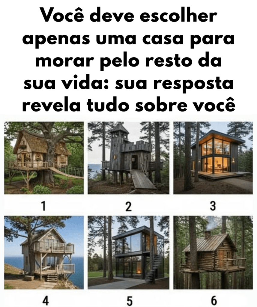 Você só pode escolher uma casa para viver para sempre: sua escolha revela muito sobre você