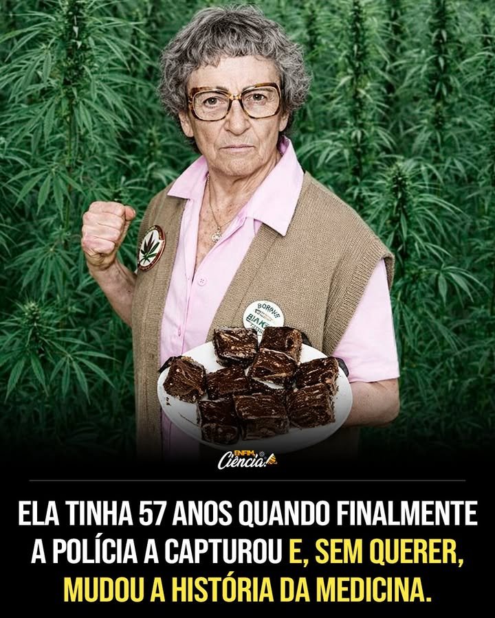 Ela sorriu para a polícia como se já soubesse que aquele momento chegaria — e talvez soubesse mesmo. Mas por que alguém, diante de uma batida policial, reagiria com tanta calma? O que havia naquele apartamento para transformar uma senhora de aparência comum em alvo de uma operação? A resposta parecia simples demais para explicar o impacto daquela cena. Dentro do imóvel, os agentes encontraram **mais de 8 quilos de maconha** e dezenas de **brownies com cannabis** esfriando na cozinha. Era o tipo de descoberta que, por si só, já bastaria para definir uma história. Mas não definiu. Porque a pergunta mais importante não era o que estava ali. Era: **por que estava ali?** E é justamente nesse ponto que quase todo mundo se engana. Seria apenas mais um caso de tráfico? Uma produção clandestina? Um esquema doméstico? À primeira vista, tudo levava a essa conclusão. Só que havia um detalhe que mudava o peso de tudo: aquela mulher tinha **57 anos** quando foi presa pela primeira vez. E isso tornava a cena ainda mais intrigante. O que leva alguém nessa idade a entrar justamente nesse caminho? O nome dela era **Mary Jane Rathbun**, embora o mundo fosse conhecê-la de outro jeito, muito mais simbólico: **Brownie Mary**. Mas esse apelido não nasceu por acaso, nem por excentricidade. Ele surgiu porque, depois da condenação a **500 horas de serviço comunitário**, a vida dela tomou uma direção que ninguém poderia prever. E é aqui que a história deixa de ser apenas sobre crime e passa a tocar em algo muito maior. Onde isso aconteceu? Em **San Francisco**, no início dos anos 80, quando a epidemia de **AIDS** ainda era cercada por medo, desinformação e abandono. Muitas pessoas evitavam até chegar perto dos pacientes. Havia pânico, preconceito e silêncio. Então o que uma mulher condenada por causa de brownies fez nesse cenário? Ela começou a trabalhar como voluntária, cuidando de pessoas doentes. E foi nesse contato direto, diário, humano, que percebeu algo que não cabia mais em julgamento moral ou em manchete policial. Os brownies que ela fazia pareciam ajudar aqueles pacientes a **reduzir náuseas**, **aliviar dores** e, talvez o mais importante em muitos casos, **recuperar o apetite**. Isso era coincidência? Impressão? Ou o início de algo que ainda não tinha nome claro? Essa dúvida não ficou parada por muito tempo. Mary viu o efeito de perto. Viu corpos extremamente debilitados reagirem. Viu pessoas voltarem a comer. Viu sofrimento diminuir. E o que acontece depois muda tudo: ela tomou uma decisão. Em vez de vender, passou a **distribuir gratuitamente** os brownies com cannabis para pacientes com AIDS, a quem chamava com carinho de **“meus filhos”**. Mas como algo assim poderia continuar sem chamar atenção? Não podia. Sua cozinha, aos poucos, deixou de ser apenas uma cozinha. Virou quase uma missão. Nos anos 80, Mary chegava a assar cerca de **600 brownies por dia**. Muitas vezes, usava o próprio dinheiro da aposentadoria para comprar ingredientes. Em outras, contava com a ajuda de cultivadores que doavam cannabis. E então surge outra pergunta inevitável: como uma ação tão simples, feita entre formas, fornos e panelas, começou a ecoar tão longe? Porque os relatos começaram a se acumular. Pacientes diziam que se sentiam melhor. Médicos passaram a reconhecer que a **cannabis** poderia ajudar no tratamento de **náuseas**, **perda de apetite** e **dor**, especialmente em pessoas com AIDS. Mas há um ponto que quase ninguém percebe de imediato: Mary não estava apenas entregando brownies. Ela estava desafiando, na prática, uma fronteira entre o que era visto como crime e o que começava a ser entendido como cuidado. Isso a protegeu? Não. Aos **69 anos**, ela foi presa novamente, acusada de distribuir cannabis. E é aqui que a maioria se surpreende: em vez de ser esmagado pelo caso, o episódio gerou **grande apoio público**. Mary acabou **absolvida**. No mesmo período, **San Francisco** chegou a declarar **25 de agosto como o “Dia da Brownie Mary”**. Como uma mulher presa por cannabis se transformou em símbolo público? Porque sua história já não podia mais ser lida apenas pela lente da repressão. Ela passou a influenciar movimentos políticos que defendiam o **uso medicinal da cannabis**. Seu trabalho ajudou a empurrar debates que levariam à aprovação da **Proposition 215**, em **1996**, quando a **Califórnia** se tornou o primeiro estado dos Estados Unidos a legalizar a **maconha medicinal**. E então tudo fica mais claro — mas não totalmente encerrado. Mary morreu em **1999**, aos **76 anos**. Nunca se considerou heroína. Talvez porque soubesse que não estava tentando entrar para a história. Estava tentando aliviar a dor de quem tinha sido deixado de lado. No fim, aquela senhora que sorriu para a polícia diante de uma cozinha cheia de brownies não estava apenas quebrando uma lei. Estava ajudando a abrir caminho para uma mudança histórica na **medicina** e na **política de drogas** nos Estados Unidos. E talvez o mais impressionante seja justamente isso: às vezes, uma revolução não começa em um palanque, nem em um laboratório, nem em um tribunal. Às vezes, ela começa em silêncio, dentro de um apartamento, com uma assadeira ainda quente.
