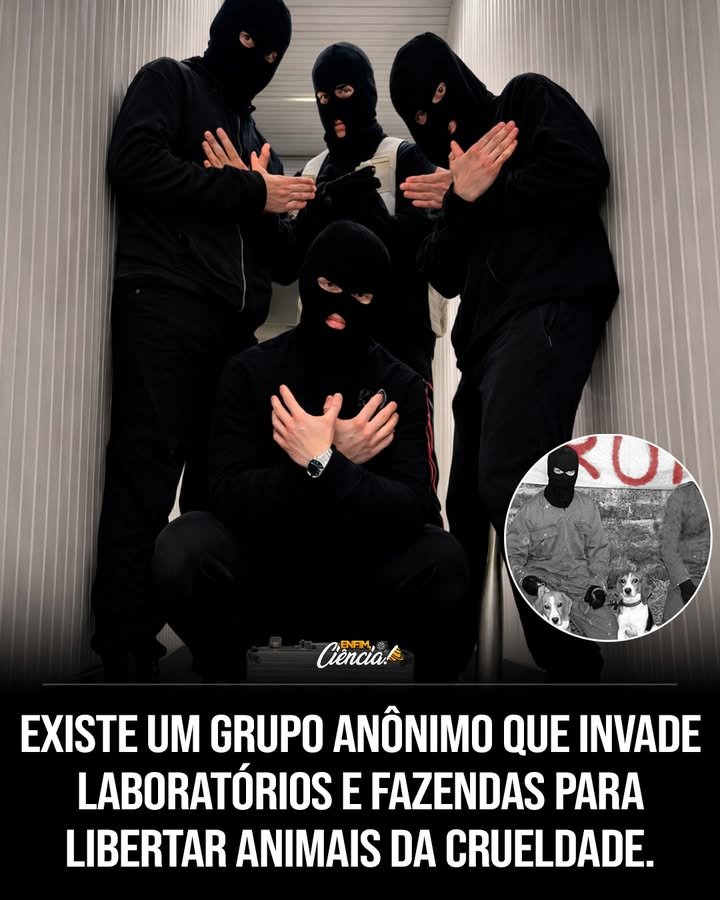 Eles entram quando ninguém espera, saem antes que alguém perceba e deixam para trás a pergunta que mais incomoda: até onde alguém iria para salvar um ser que não pode pedir ajuda? Quem são essas pessoas que aparecem nas sombras, atravessam cercas, rompem barreiras e desaparecem com animais nos braços? A resposta, por enquanto, é justamente o que sustenta o impacto de tudo isso: são um **grupo anônimo**, formado por ativistas que agem em segredo para retirar animais de lugares onde, segundo sua convicção, há **crueldade**, **negligência**, **abuso** ou **confinamento**. Mas se o anonimato protege quem age, ele também levanta outra dúvida inevitável: por que alguém aceitaria correr riscos tão altos? Porque, para esse grupo, a questão não é apenas sobre leis, propriedade ou invasão. É sobre vidas. Eles acreditam que **todo animal merece liberdade e compaixão**, e é essa crença que move operações discretas, tensas e cheias de consequências possíveis. Só que essa motivação, por si só, não explica tudo. O que exatamente eles encontram para considerar essas ações tão urgentes? É aí que o assunto fica mais difícil de ignorar. As missões desse grupo chamam atenção porque expõem realidades que muita gente prefere não ver: animais vivendo em condições de **sofrimento**, submetidos a tratamento cruel ou mantidos em ambientes de extremo confinamento. E quando essas imagens, relatos ou resgates vêm à tona, surge uma nova pergunta que muda o foco: o problema está apenas na ação clandestina ou no que tornou essa ação necessária? Essa é a parte em que muita gente se surpreende. O debate deixa de ser apenas sobre quem entrou escondido em um local e passa a ser sobre o que acontecia lá dentro. Se os ativistas arriscam **consequências legais** para retirar animais desses espaços, isso revela não só ousadia, mas também um senso de urgência que não cabe em explicações simples. Ainda assim, há um detalhe que quase ninguém percebe de imediato: essas ações não terminam no momento do resgate. O que acontece depois altera toda a discussão. Cada invasão, cada retirada de animais, cada operação feita em silêncio empurra o tema para um campo maior: **direitos dos animais**, **tratamento ético** e a responsabilidade humana sobre criaturas que dependem totalmente de cuidados. E quando esse debate começa, outra dúvida aparece quase sem aviso: se essas ações chocam tanto, é porque são extremas ou porque revelam algo que já estava acontecendo há tempo demais? A resposta talvez esteja no desconforto que elas provocam. Não se trata apenas de um grupo misterioso agindo fora dos holofotes. Trata-se do fato de que suas missões forçam o público a encarar uma realidade dura: muitos animais ainda vivem sob condições que despertam indignação, compaixão e conflito moral. Mas se isso é tão grave, por que a mudança parece sempre lenta? Porque mudar estruturas, hábitos e interesses nunca é simples. E é justamente nesse ponto que o grupo anônimo ganha ainda mais atenção. Suas ações destacam a **urgência de mudanças**, mas também mostram até onde algumas pessoas estão dispostas a ir para proteger vidas consideradas inocentes. Só que essa disposição extrema abre outra questão impossível de evitar: quando o sistema falha em impedir o sofrimento, quem decide o limite entre ativismo e transgressão? Não existe uma resposta confortável. Para uns, essas invasões representam um gesto de coragem diante da crueldade. Para outros, são atos que ultrapassam fronteiras legais perigosas. Mas há uma camada ainda mais profunda nisso tudo: independentemente da opinião sobre os métodos, o foco volta sempre para os animais retirados dessas situações. E isso leva à pergunta central, aquela que permanece mesmo depois de toda a polêmica: se criaturas vivem em abuso, negligência ou confinamento severo, quanto tempo ainda se pode esperar? No fim, é isso que torna esse grupo tão impossível de ignorar. Eles não chamam atenção apenas por operarem em segredo, nem apenas por desafiarem consequências legais. O verdadeiro impacto está no que suas ações revelam sobre o mundo que muitos preferem não examinar de perto. Ao invadir **laboratórios** e **fazendas** para resgatar animais submetidos à crueldade, esses ativistas não expõem só um método radical. Eles expõem uma ferida aberta. E talvez a pergunta mais inquietante não seja quem são eles, mas por que ainda existem tantos lugares de onde animais precisam ser retirados às pressas.