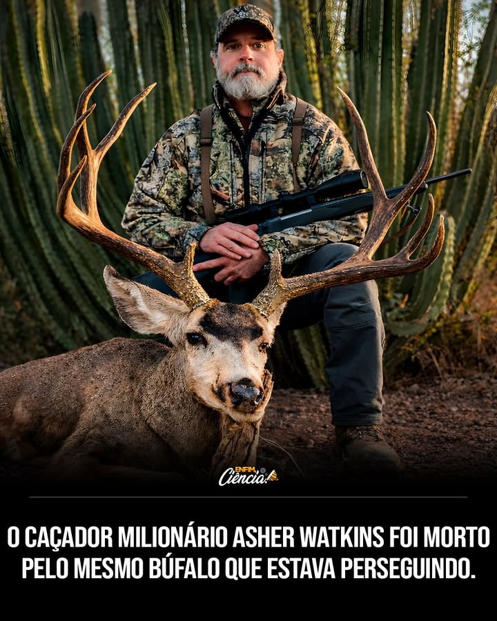 Quem era Asher Watkins e qual sua ligação com a caça? Asher Watkins era um rancheiro milionário e caçador experiente do Texas, conhecido por participar de caçadas de grande porte. Ele possuía uma empresa de venda de grandes propriedades rurais nos EUA. O que aconteceu com Asher Watkins durante o safári? Watkins morreu em 2025 durante um safári na África do Sul, após ser atacado por um búfalo-africano enquanto rastreava o animal. Como ocorreu o ataque do búfalo-africano? O ataque foi repentino e sem aviso, mesmo com a presença de um guia e um rastreador. O búfalo investiu com grande velocidade, causando ferimentos fatais em Watkins. Qual é a reputação do búfalo-africano? O búfalo-africano é conhecido por sua força extrema e comportamento imprevisível, tornando-o um dos animais mais perigosos para caçadores. Qual foi a reação da empresa Coenraad Vermaak Safaris? A empresa confirmou o incidente, lamentou profundamente a morte de Watkins e prestou apoio à família dele. Quais foram as consequências imediatas do incidente? O caso gerou forte repercussão internacional e reacendeu debates sobre os riscos da caça de animais selvagens de grande porte na África. Por que a morte de Watkins gerou tanta repercussão? A morte de um caçador experiente como Watkins destacou os perigos inerentes à caça de animais selvagens, especialmente de espécies conhecidas por sua agressividade. Quais são os riscos envolvidos na caça de grandes animais na África? Os riscos incluem ataques inesperados de animais, que podem resultar em ferimentos graves ou morte, mesmo para caçadores experientes. Como a morte de Watkins impactou a discussão sobre caça? O incidente trouxe à tona questões éticas e de segurança na caça esportiva, além de debates sobre a conservação de espécies ameaçadas. Qual é a importância de guias e rastreadores em safáris de caça? Guias e rastreadores são essenciais para garantir a segurança dos caçadores, mas o ataque a Watkins mostrou que riscos ainda existem. Como a família de Watkins foi afetada pelo incidente? A família recebeu apoio da empresa de safáris, mas a perda de Watkins foi um golpe devastador, dado seu papel central na família e nos negócios. O que o caso de Watkins ensina sobre a caça de animais selvagens? O caso destaca a necessidade de precauções rigorosas e a imprevisibilidade dos animais selvagens, mesmo em expedições organizadas. Quais são as implicações para a indústria de safáris após o incidente? A indústria pode enfrentar maior escrutínio e pressão para melhorar medidas de segurança e práticas éticas na caça. Como a morte de Watkins pode influenciar futuros caçadores? Futuros caçadores podem se tornar mais cautelosos e conscientes dos riscos, considerando a segurança como prioridade em expedições. O que pode ser feito para aumentar a segurança em safáris de caça? Melhor treinamento, equipamentos de segurança avançados e protocolos de emergência podem ajudar a mitigar riscos em safáris futuros.