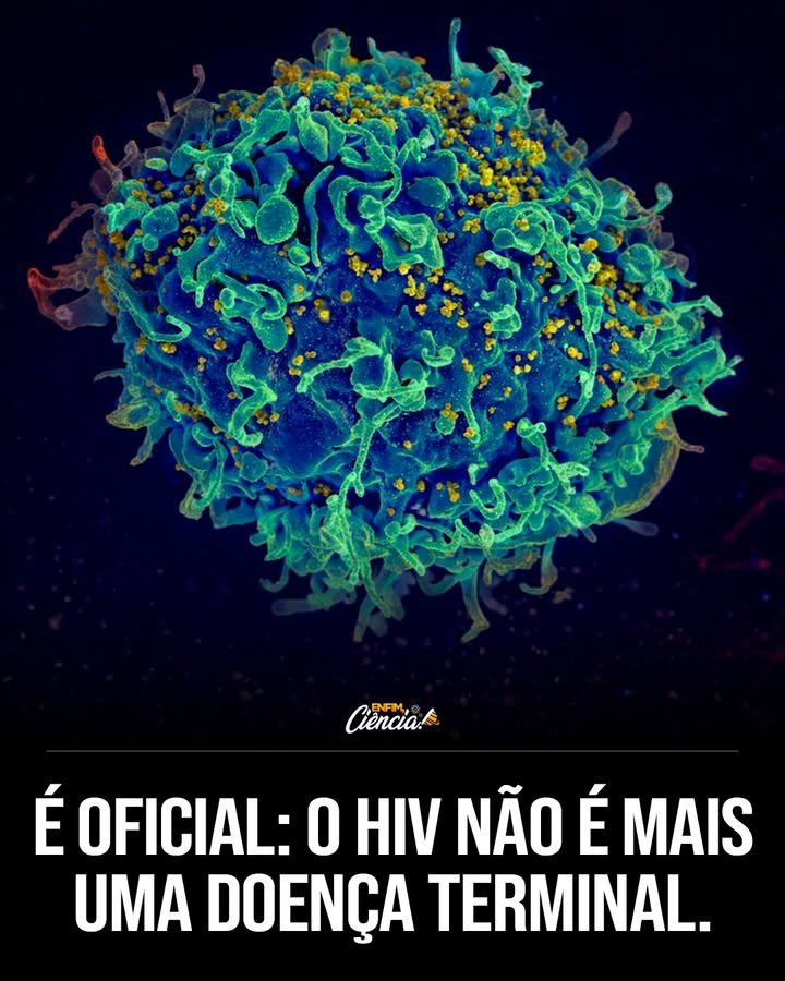 O que mudou no tratamento do HIV para que ele deixasse de ser uma sentença de morte? O avanço na terapia antirretroviral transformou o HIV em uma doença crônica controlável, semelhante ao diabetes. Isso permite que pessoas com o vírus tenham uma expectativa de vida comparável àquelas sem o vírus. Como a terapia antirretroviral impacta a vida dos pacientes com HIV? Ela reduz a carga viral a níveis indetectáveis, preservando a saúde do paciente e quase eliminando o risco de transmissão sexual, representando um marco na saúde pública. Por que o foco da luta contra o HIV mudou dos laboratórios para as políticas públicas? Porque o conhecimento médico já existe; o desafio agora é garantir acesso universal ao tratamento, superando barreiras sociais e políticas. Quais são as principais barreiras para o acesso universal ao tratamento do HIV? Desigualdades sociais e políticas dificultam a distribuição justa das terapias, impedindo que todos se beneficiem dos avanços médicos. Como o Brasil se destaca na prevenção da transmissão do HIV de mãe para filho? O país é referência graças ao pré-natal eficaz, testagem e tratamento antirretroviral durante a gestação, alcançando taxas de transmissão extremamente baixas. É possível eliminar completamente a transmissão do HIV de mãe para filho? Não se fala em eliminação absoluta, mas em reduzir a transmissão a níveis próximos de zero com acompanhamento adequado. Quais são as consequências de não garantir acesso universal ao tratamento do HIV? Sem acesso universal, a epidemia não pode ser encerrada de forma definitiva, perpetuando desigualdades e riscos de transmissão. Como a medicina moderna compara o tratamento do HIV a outras doenças crônicas? O HIV é tratado de forma semelhante a doenças como diabetes, com manejo contínuo e foco na qualidade de vida do paciente. Qual é a expectativa de vida atual para pessoas com HIV que têm acesso ao tratamento? Com tratamento adequado, a expectativa de vida é semelhante à de pessoas sem o vírus, graças aos avanços na terapia antirretroviral. Por que é importante continuar investindo em políticas públicas para o HIV? Para garantir que todos tenham acesso ao tratamento e para reduzir as desigualdades que ainda existem na distribuição das terapias. Como a redução da carga viral impacta a transmissão sexual do HIV? A carga viral indetectável praticamente elimina o risco de transmissão sexual, sendo uma vitória significativa para a saúde pública. Quais são os desafios atuais na luta contra o HIV? O principal desafio é garantir a distribuição justa das terapias, superando barreiras sociais e políticas para alcançar o acesso universal. Como a transformação do HIV em doença crônica afeta a percepção pública sobre o vírus? A mudança reduz o estigma associado ao HIV, promovendo uma visão mais positiva e informada sobre a convivência com o vírus. Qual é o papel da educação na luta contra o HIV? A educação é crucial para informar sobre prevenção, tratamento e para combater o estigma, promovendo uma sociedade mais inclusiva e consciente. Como a saúde pública global se beneficia dos avanços no tratamento do HIV? Os avanços reduzem a transmissão, melhoram a qualidade de vida dos pacientes e representam um progresso significativo na luta contra epidemias.