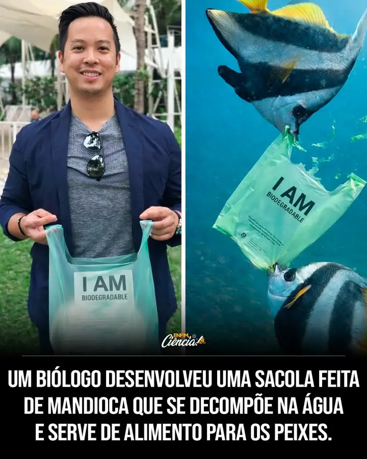 E se uma sacola pudesse desaparecer na água em poucos minutos sem deixar para trás o rastro tóxico que hoje sufoca rios, praias e oceanos? Parece exagero? A primeira reação de muita gente é pensar que sim. Afinal, quando se fala em sacola, o que vem à cabeça é justamente o oposto: algo feito para durar demais, resistir demais e, por isso mesmo, permanecer no ambiente por tempo demais. Então como um objeto tão comum poderia se comportar de um jeito completamente diferente? A resposta começa em uma preocupação que cresce no mundo inteiro: o impacto dos **plásticos descartáveis**. Eles são usados por minutos, mas podem permanecer na natureza por anos. E o problema não termina quando saem de vista. Para onde vão esses resíduos depois? Muitos acabam em cursos d’água, seguem para o mar e se acumulam em lugares onde a vida marinha paga o preço. Mas existiria uma alternativa real ou isso seria apenas mais uma promessa bonita? É aqui que a maioria se surpreende. Em vez de tentar apenas reduzir o dano do plástico tradicional, surgiu a ideia de criar algo com outra origem, outro comportamento e outro destino no ambiente. Não se trata de um plástico “menos pior”, mas de uma proposta pensada para se decompor de forma muito mais rápida e natural. Do que essa sacola é feita, então? Esse é o ponto que muda tudo. Em vez de derivados convencionais, ela foi desenvolvida com **amido extraído da mandioca**, uma matéria-prima **natural** e **renovável**. Isso já muda a lógica desde o início: a base do material não vem da mesma cadeia que sustenta os plásticos comuns. E quando a origem muda, o impacto final também pode mudar. Mas será que ela realmente funciona ou é apenas uma ideia interessante no papel? Há um detalhe que quase ninguém percebe: o aspecto mais curioso não está só no material, mas na forma como ele reage ao ambiente. Quando essas sacolas entram em contato com a **água**, especialmente se ela estiver **quente**, podem se **dissolver em poucos minutos**. E essa característica levanta outra pergunta inevitável: se não se dissolverem imediatamente, ainda assim representam vantagem? Sim, e é justamente aí que a proposta ganha força. Mesmo quando não passam por esse processo rápido, continuam sendo muito menos persistentes no ambiente do que o plástico convencional. Se forem parar no mar, por exemplo, tendem a se **decompor naturalmente em cerca de dois a três meses**. O que acontece depois chama ainda mais atenção: o material se transforma em **compostos orgânicos** que podem até contribuir para o solo como **fertilizante**. Isso já seria impressionante por si só, mas existe outra questão ainda mais sensível. O que acontece com os animais marinhos? Porque o grande drama do plástico não está apenas no acúmulo visível, mas também no que ele libera e no que provoca quando é ingerido. E aqui surge uma diferença decisiva: esse material, ao contrário do plástico comum, **não libera substâncias tóxicas** e pode até ser ingerido por peixes ou outros animais sem causar os danos associados aos **microplásticos**. Quem teve a iniciativa de transformar essa preocupação em solução? Antes de chegar ao nome, vale entender o impulso por trás da ideia. Tudo começou com alguém incomodado com o efeito dos resíduos descartáveis no ambiente e decidido a buscar uma saída mais sustentável. Esse incômodo levou ao desenvolvimento de uma alternativa concreta, pensada não apenas para substituir um produto, mas para enfrentar um problema que se espalha silenciosamente. Foi assim que o biólogo indonésio **Kevin Kumala** criou essas **sacolas biodegradáveis** e lançou o projeto por meio da empresa que fundou, a **Avani Eco**. A proposta é direta: oferecer uma alternativa ao **plástico convencional** e reduzir a quantidade de resíduos que acabam em **rios**, **praias** e **oceanos**. Mas talvez a pergunta mais importante não seja apenas como essa sacola foi feita. A pergunta real é outra: o que muda quando um item descartável deixa de ser uma ameaça persistente e passa a ter um ciclo muito menos agressivo para a natureza? A resposta começa nessa invenção, mas não termina nela. Porque, quando uma simples sacola já consegue desafiar a lógica do plástico comum, fica no ar uma dúvida impossível de ignorar: quantos outros materiais ainda poderiam seguir o mesmo caminho?