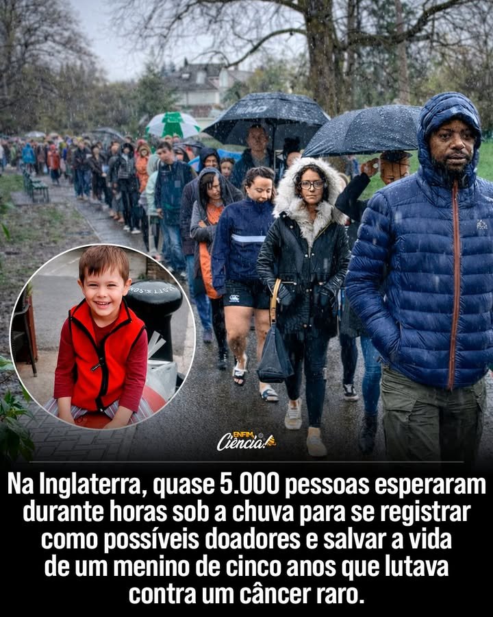 O que motivou tantas pessoas a ajudar Oscar Saxelby-Lee? A solidariedade e o desejo de salvar a vida de uma criança uniram milhares de pessoas. A história de Oscar tocou corações, inspirando uma mobilização sem precedentes para encontrar um doador compatível. Como a escola de Oscar contribuiu para a campanha? A escola primária Pitmaston organizou a campanha, incentivando a comunidade a se registrar como doadores. A iniciativa foi crucial para aumentar as chances de Oscar encontrar um doador compatível. Quantas pessoas participaram da campanha de doação? Cerca de cinco mil pessoas participaram, enfrentando longas filas e chuva para se registrar como doadoras. A adesão massiva destacou a força da solidariedade comunitária. Por que a campanha foi tão significativa no Reino Unido? O evento se tornou um dos maiores registros de doadores de células-tronco no Reino Unido, mostrando o poder da mobilização coletiva em causas humanitárias. Qual era a condição médica de Oscar? Oscar lutava contra uma leucemia linfoblástica aguda de células T, um tipo raro e agressivo de câncer que exigia um transplante urgente de células-tronco. Como a leucemia linfoblástica aguda afeta as crianças? Essa forma de leucemia é agressiva e afeta a produção de células sanguíneas saudáveis, exigindo tratamento imediato para aumentar as chances de sobrevivência. Qual foi o resultado da campanha para Oscar? Graças à campanha, Oscar encontrou um doador compatível e recebeu o transplante necessário, continuando seu tratamento com esperança renovada. O que a história de Oscar nos ensina sobre solidariedade? A história de Oscar demonstra que a generosidade de desconhecidos pode trazer esperança e salvar vidas, mostrando o impacto positivo da união em prol de uma causa. Como a comunidade reagiu ao sucesso da campanha? A comunidade celebrou o sucesso da campanha, sentindo-se parte de um esforço coletivo que trouxe esperança e uma nova chance de vida para Oscar. Por que a mobilização foi considerada comovente? A mobilização foi comovente pela demonstração de empatia e altruísmo, com milhares de pessoas se unindo por um propósito maior, sem esperar nada em troca. Qual é a importância de campanhas de doação de células-tronco? Essas campanhas são vitais para aumentar o registro de doadores, oferecendo esperança a pacientes que necessitam de transplantes para sobreviver. Como a história de Oscar pode inspirar outras comunidades? A história de Oscar pode inspirar outras comunidades a se unirem em prol de causas humanitárias, mostrando que a solidariedade pode fazer a diferença na vida de muitos. Quais são os desafios enfrentados por pacientes com leucemia? Pacientes enfrentam desafios como tratamentos agressivos, necessidade de doadores compatíveis e o impacto emocional da doença em suas vidas e famílias. Como a ciência e a solidariedade se complementam nesse caso? A ciência oferece tratamentos como o transplante de células-tronco, enquanto a solidariedade garante que haja doadores suficientes para salvar vidas. O que podemos aprender com a resposta da comunidade de Worcester? Podemos aprender que a união e a empatia são forças poderosas que podem transformar situações difíceis, trazendo esperança e soluções para problemas complexos.