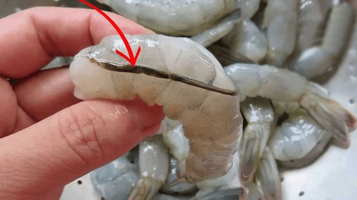 O que é a “veia preta” do camarão e o que acontece se você a comer? O detalhe que poucos conhecem e muitos discutem