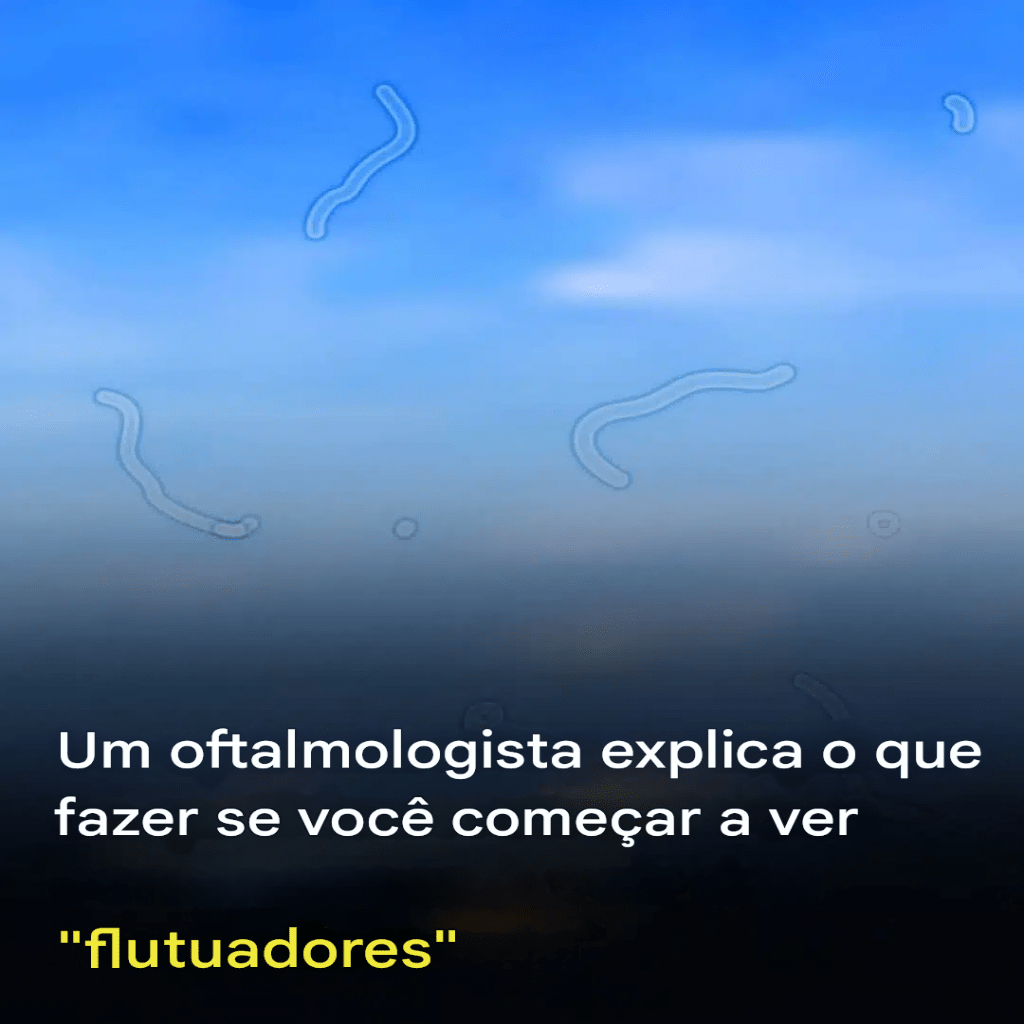 Moscas volantes: o que são e como agir ao percebê-las