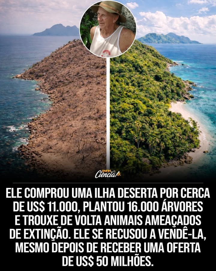 Como Brendon Grimshaw comprou uma ilha tropical por tão pouco? Em 1962, Brendon Grimshaw adquiriu a Ilha Moyenne nas Seychelles por apenas £8.000, equivalente a cerca de 10.700 dólares, um valor comparável ao de um carro usado. Por que a Ilha Moyenne não era um paraíso inicialmente? A ilha estava coberta por arbustos secos, não tinha água e não abrigava pássaros, tornando-a um local inóspito e desafiador. O que Brendon fez para transformar a ilha? Brendon dedicou 40 anos de sua vida a plantar 16.000 árvores e abrir 5 km de trilhas, transformando a ilha em um ecossistema próspero. Como ele ajudou as tartarugas gigantes ameaçadas? Ele trouxe 120 tartarugas gigantes para a ilha e as alimentou manualmente até que começassem a se reproduzir, ajudando a preservar a espécie. Por que Brendon recusou 50 milhões de dólares pela ilha? Ele queria que a ilha se tornasse um parque nacional acessível a todos, em vez de um destino exclusivo para milionários. Qual foi o impacto da recusa de Brendon? A recusa garantiu que a ilha se tornasse um parque nacional em 2009, protegendo-a como parte do Parque Nacional Marinho de Ste Anne. Como a ilha foi protegida após a morte de Brendon? A ilha foi transformada em uma reserva natural sem fins lucrativos, garantindo que nunca pudesse ser vendida e permanecesse um paraíso preservado. Qual é o legado de Brendon Grimshaw? Ele deixou um exemplo de dedicação à conservação ambiental, transformando um terreno devastado em um refúgio natural para futuras gerações. Como a ilha se tornou um parque nacional? Em 2009, um acordo com o Ministério do Meio Ambiente das Seychelles garantiu a proteção da ilha como parte do Parque Nacional Marinho de Ste Anne. Qual é a importância do Parque Nacional Marinho de Ste Anne? É um dos menores parques nacionais do mundo, mas desempenha um papel crucial na conservação da biodiversidade marinha e terrestre. Como a história de Brendon inspira a conservação ambiental? Sua dedicação mostra que um indivíduo pode fazer uma diferença significativa na preservação do meio ambiente e na proteção de espécies ameaçadas. O que podemos aprender com a decisão de Brendon de recusar a oferta milionária? A importância de valores e princípios sobre o lucro financeiro, priorizando o bem-estar ambiental e o acesso público. Por que a história de Brendon Grimshaw é única? Poucas pessoas teriam a visão e a determinação de transformar uma ilha abandonada em um paraíso ecológico, recusando uma fortuna para preservar seu legado. Como a ilha Moyenne contribui para a biodiversidade? A ilha serve como habitat para diversas espécies, incluindo as tartarugas gigantes, e é um exemplo de recuperação ambiental bem-sucedida. Qual é o estado atual da ilha Moyenne? A ilha continua a ser uma reserva natural protegida, acessível ao público e um testemunho do compromisso de Brendon com a natureza.