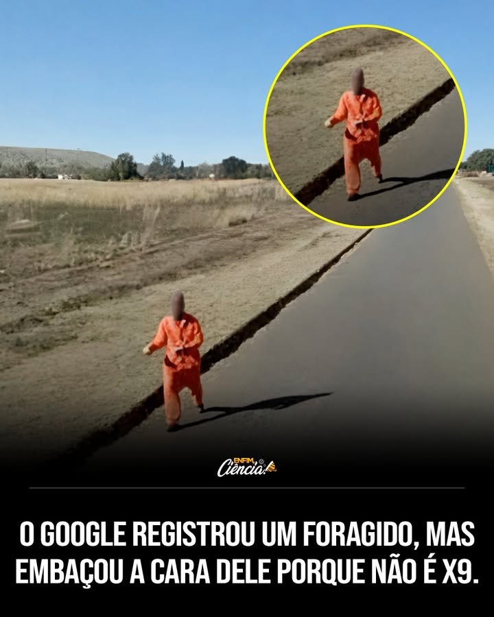 O que aconteceu de tão engraçado no Google Street View? As câmeras do Google Street View capturaram um suposto fugitivo da prisão correndo por um bairro, mas o rosto dele foi automaticamente borrado, como acontece com qualquer pedestre, criando uma situação hilária. Por que o rosto do fugitivo foi borrado? O Google Street View tem um recurso automático de privacidade que borra rostos para proteger a identidade das pessoas, independentemente de quem sejam. Qual foi a reação das redes sociais a essa imagem? Nas redes sociais, a imagem viralizou rapidamente, gerando muitos comentários, memes e piadas sobre a ironia da situação. Como a tecnologia do Google Street View funciona nesse caso? A tecnologia do Google Street View é programada para seguir regras rígidas de privacidade, borrando rostos automaticamente sem fazer distinções. Por que essa situação é considerada irônica? É irônico porque um sistema criado para registrar o cotidiano acabou protegendo a identidade de alguém que supostamente estava foragido, transformando uma situação potencialmente tensa em algo engraçado. O que essa situação revela sobre a tecnologia e a privacidade? Revela que a tecnologia pode seguir protocolos de privacidade de forma rigorosa, mesmo em situações inesperadas, mostrando que até as máquinas têm "regras" a seguir. Como a imagem se tornou um fenômeno na internet? A imagem se espalhou rapidamente nas redes sociais, com usuários criando memes e piadas, destacando a combinação de realidade, inovação e humor. Por que a internet achou essa situação tão engraçada? A internet achou engraçado porque a tecnologia, sem querer, "protegeu" um fugitivo, mostrando que até as máquinas podem criar momentos cômicos. O que essa situação diz sobre a relação entre tecnologia e humor? Mostra que a tecnologia pode gerar humor de forma inesperada, quando protocolos automáticos criam situações inusitadas e engraçadas. Como essa situação pode impactar a percepção sobre privacidade? Pode aumentar a conscientização sobre como a tecnologia lida com privacidade, mostrando que sistemas automáticos seguem regras sem distinção. O que podemos aprender com essa situação inusitada? Podemos aprender que a tecnologia, mesmo com suas regras rígidas, pode criar momentos de humor e reflexão sobre privacidade e inovação. Como a imagem do fugitivo borrado se encaixa no contexto atual de tecnologia? Encaixa-se como um exemplo de como a tecnologia pode seguir protocolos de privacidade de forma rigorosa, mesmo em situações inesperadas. Por que a combinação de realidade e humor é tão atraente? A combinação é atraente porque oferece uma perspectiva leve e engraçada sobre situações que poderiam ser sérias, capturando a atenção do público. Qual é o papel das redes sociais na viralização de conteúdos como esse? As redes sociais amplificam a disseminação de conteúdos engraçados e inusitados, permitindo que mais pessoas compartilhem e comentem. Como a tecnologia pode continuar a surpreender e divertir? A tecnologia pode continuar a surpreender ao seguir protocolos de forma inesperada, criando situações engraçadas que capturam a imaginação do público.