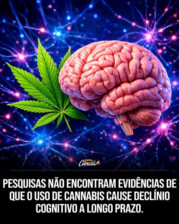 O uso prolongado de cannabis acelera o declínio cognitivo? Um estudo de 44 anos na Dinamarca revela que não há aceleração no declínio cognitivo devido ao uso prolongado de cannabis. Quais mitos sobre a cannabis o estudo derruba? O estudo desafia a ideia de que a cannabis prejudica a capacidade mental a longo prazo, mostrando que usuários não sofrem declínio cognitivo acelerado. Como o estudo foi conduzido? Pesquisadores acompanharam mais de 5.000 homens, comparando QIs aos 20 anos e aos 64 anos, para avaliar o impacto da cannabis no declínio cognitivo. Quais foram os resultados surpreendentes do estudo? Usuários de cannabis apresentaram uma redução ligeiramente menor no QI, cerca de 1,3 ponto a menos, comparado aos não usuários. O que é "reserva cognitiva" e como ela influencia os resultados? Reserva cognitiva refere-se à capacidade do cérebro de resistir a danos. Fatores como QI inicial e escolaridade podem aumentar essa resiliência. A frequência de uso de cannabis afeta a inteligência futura? O estudo descobriu que nem a frequência de uso nem a idade de início impactaram significativamente a inteligência na vida adulta. O estudo foi limitado de alguma forma? Sim, ele se concentrou apenas em homens e utilizou dados autorrelatados, mas ainda é uma das pesquisas longitudinais mais robustas sobre o tema. Por que o estudo é considerado abrangente? Com 44 anos de acompanhamento e mais de 5.000 participantes, ele oferece uma visão detalhada e de longo prazo sobre o impacto da cannabis. Qual é a importância dos resultados para a saúde pública? Os resultados desafiam alertas de saúde pública sobre os efeitos cognitivos da cannabis, sugerindo que o uso não acelera o declínio mental. Como os resultados podem influenciar a percepção pública sobre a cannabis? Eles podem mudar a visão de que a cannabis é prejudicial ao cérebro a longo prazo, promovendo um debate mais informado sobre seu uso. O que os especialistas dizem sobre os resultados? Especialistas destacam que fatores de estilo de vida e reserva cognitiva podem influenciar os desfechos, mas reconhecem a importância do estudo. Os resultados se aplicam a todas as populações? O estudo focou em homens dinamarqueses, então mais pesquisas são necessárias para confirmar se os resultados se aplicam a outras populações. Como a escolaridade inicial dos participantes influenciou os resultados? Participantes com maior escolaridade inicial mostraram maior resiliência cognitiva, o que pode ter influenciado os resultados do estudo. O que o estudo sugere sobre o uso responsável de cannabis? Embora não acelere o declínio cognitivo, o uso responsável ainda é recomendado, considerando outros possíveis efeitos à saúde. Quais são as próximas etapas para a pesquisa sobre cannabis e cognição? Mais estudos são necessários para explorar o impacto em diferentes populações e considerar outros fatores que possam influenciar os resultados.