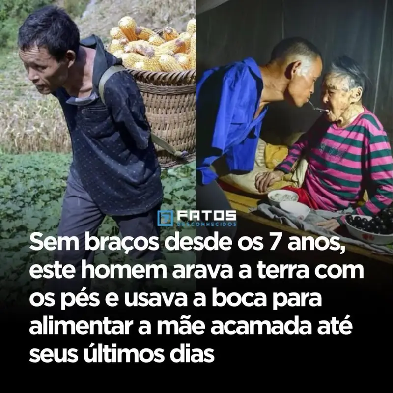 Perder os **braços aos 7 anos** já seria suficiente para interromper quase qualquer destino, mas neste caso foi exatamente aí que uma vida improvável começou a ser reconstruída. Como alguém segue em frente depois de um choque tão brutal? A resposta não veio de uma vez, nem de forma simples. Depois de sofrer um **choque elétrico** ainda na infância, ele precisou reaprender tudo o que parecia básico: se mover, se adaptar, encontrar um jeito de existir num mundo feito para mãos que ele já não tinha mais. E isso levanta outra pergunta inevitável: como sobreviver quando até as tarefas mais comuns se tornam obstáculos diários? Foi usando o que restava com uma disciplina fora do comum. **Os pés** deixaram de ser apenas apoio e passaram a ser ferramenta. A **boca** deixou de servir apenas para falar e comer, tornando-se parte essencial da rotina. Mas há um ponto que quase ninguém percebe de imediato: adaptar-se para viver já seria extraordinário, só que ele foi além. Não se limitou a buscar autonomia. Ele assumiu responsabilidades que muitos considerariam impossíveis até para quem tem o corpo intacto. Que responsabilidades eram essas? Primeiro, garantir o **sustento da família**. E é aqui que muita gente se surpreende. Em vez de depender completamente dos outros, ele aprendeu a **arar a terra sozinho**, usando os pés para executar um trabalho pesado, repetitivo e exaustivo. Não era um gesto simbólico, nem uma demonstração ocasional de superação. Era trabalho real, rotina real, necessidade real. A terra precisava ser preparada, e ele fazia isso. Mas se isso já parece difícil de imaginar, surge uma dúvida ainda maior: como essa história poderia ficar mais intensa? Ela ficou quando a vida exigiu dele não apenas força, mas também **cuidado absoluto**. Anos depois, sua mãe, já idosa, ficou **acamada**. O que acontece depois muda tudo, porque nesse momento a história deixa de ser apenas sobre sobrevivência e passa a ser sobre **devoção**. Ele não recuou. Não terceirizou o afeto. Não transformou a dificuldade em desculpa. Assumiu integralmente os cuidados com ela. Mas como alguém sem braços consegue cuidar diariamente de uma pessoa nessa condição? A resposta está justamente no tipo de adaptação que ele construiu ao longo da vida. Com uma **colher presa à boca**, ele passou a **alimentar a mãe todos os dias**. A cena por si só já comove, mas existe algo ainda mais forte por trás dela: não era um ato isolado, feito para emocionar quem visse. Era constância. Era presença. Era compromisso repetido dia após dia, até os **últimos anos de vida** dela. E por que essa história repercutiu tanto? Porque ela reúne três forças que raramente aparecem juntas com tanta clareza: **resiliência**, **autonomia** e **amor filial**. Muita gente consegue resistir. Alguns conseguem se adaptar. Outros cuidam de quem amam mesmo em circunstâncias duras. Mas aqui tudo isso se encontra numa mesma trajetória, de forma quase inacreditável. Ainda assim, há um detalhe que torna tudo mais profundo: ele não estava apenas provando que era capaz. Ele estava respondendo à vida com trabalho e cuidado, mesmo depois de ter perdido tanto tão cedo. Quem era esse homem? O nome dele é **Chen Xingyin**, da **China**. E quando sua história ganhou repercussão mundial, não foi apenas pela imagem impactante de alguém arando a terra com os pés ou alimentando a mãe com uma colher presa à boca. Foi porque, por trás dessas cenas, existe algo que prende qualquer olhar até o fim: a evidência de que a dignidade pode sobreviver até às perdas mais severas. Mas talvez a pergunta final seja a mais difícil: o que realmente impressiona nessa história? O acidente? A adaptação? O trabalho no campo? O cuidado com a mãe? Talvez seja justamente o conjunto. Porque no fim, o mais marcante não é apenas o fato de **Chen Xingyin** ter aprendido a viver sem os braços. É perceber que ele transformou essa ausência em instrumento de **sustento**, depois em ferramenta de **cuidado**, e por fim em símbolo de uma força que continua ecoando muito depois da última cena conhecida. E é exatamente aí que essa história deixa de terminar de verdade.