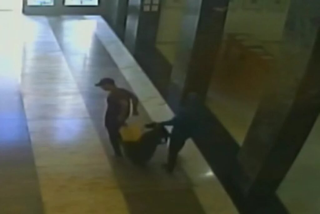 Uma decisão da **Justiça de São Paulo** mudou o rumo de um dos desdobramentos do roubo que atingiu a **Biblioteca Mário de Andrade** e deixou uma pergunta no ar: por que um dos suspeitos foi solto agora? A resposta veio no fim da tarde desta segunda-feira, **6 de abril**, quando o **Tribunal de Justiça de São Paulo (TJSP)** determinou a soltura de **Luís Carlos Nascimento**, conhecido como **Magrão**. Ele era apontado como suspeito de ter dado **“apoio logístico”** aos envolvidos no crime ocorrido em dezembro de 2025, no centro da capital paulista. Mas o que levou o tribunal a rever a prisão? Segundo a **liminar do TJSP**, a denúncia apresentada até aqui é **insuficiente** para afirmar que houve **“efetiva participação”** de Magrão no roubo. Com esse entendimento, a corte considerou **injustificada a prisão preventiva**. Isso significa que ele ficou totalmente livre? Não. A prisão foi substituída por **medidas cautelares alternativas**. Entre elas estão a **proibição de se ausentar da comarca** e o **comparecimento periódico em juízo**. Como Magrão havia sido ligado ao caso? Ele foi detido depois de ser identificado em imagens do sistema **Smart Sampa**, nas quais aparecia caminhando ao lado de um dos outros envolvidos, que carregava as obras roubadas. Ainda assim, para o tribunal, esse material não bastou para sustentar a manutenção da prisão preventiva. Quem pediu a soltura? O **habeas corpus** foi apresentado pelos advogados **Marcos Sá** e **Fábio Abyazar**. A defesa elogiou a decisão do tribunal e afirmou que a inocência de Magrão será **“plenamente comprovada no decorrer da instrução processual”**. E o que aconteceu no roubo à biblioteca? O crime ocorreu na manhã de **7 de dezembro de 2025**. De acordo com a investigação, **Gabriel Pereira de Mello**, conhecido como **Gargamel**, e **Felipe dos Santos Fernandes**, o **Sujinho**, roubaram **13 obras** da maior biblioteca pública de São Paulo. Quais obras foram levadas? Foram **oito gravuras da série “Jazz”, de Henri Matisse**, e **cinco gravuras de Cândido Portinari**. O prejuízo estimado foi de pelo menos **R$ 1,325 milhão**, valor apontado pelos responsáveis da biblioteca e registrado oficialmente na investigação. Como a ação aconteceu? No dia do furto, Felipe foi até a casa de Gabriel, na **Rua Conde de Sarzedas**. De lá, os dois seguiram para a biblioteca e chegaram por volta das **10h20**. Durante a ação, um segurança e um casal foram rendidos por Gabriel, que estava com **arma de fogo**. Em pouco mais de **20 minutos**, os assaltantes saíram pela porta da frente levando as obras. E depois da fuga? O veículo usado apresentou **pane elétrica** na **Rua João Adolfo**, a cerca de dois quilômetros da biblioteca. A partir daí, os suspeitos seguiram **a pé**. Em determinado momento, Felipe pagou **R$ 30** a um usuário de drogas para ajudá-lo a carregar as obras. Às **11h**, Gabriel chegou ao prédio onde mora com a primeira leva do material roubado. Antes disso, ele foi flagrado **quebrando as molduras** do acervo subtraído. Onde Magrão entra nessa sequência? Posteriormente, ele também aparece, e havia sido acusado de ajudar **Felipe** e **Gabriel** a transportar o restante das obras. Foi justamente essa suspeita que levou à prisão agora revogada. Houve mais pessoas envolvidas? Sim. Na noite do mesmo dia, **Cícera de Oliveira Santos**, esposa de Gabriel, foi vista chegando ao prédio do companheiro. Às **19h38**, ela deixou o edifício com **duas sacolas contendo as obras** e as entregou ao marido, que naquele momento já não estava mais no local. Cícera foi presa em **19 de dezembro**. E Gabriel, onde foi visto pela última vez? Por volta das **20h30**, ele apareceu na estação de metrô **Parque Dom Pedro**. Depois, desembarcou na estação **Itaquera**, onde foi flagrado pela última vez. As obras foram recuperadas? **Não.** Até a publicação da reportagem, **nenhuma** havia sido recuperada. A **Polícia Civil** acredita que o acervo está com **Gabriel**, que segue **foragido**. Quem continua preso? **Felipe dos Santos Fernandes** permanece preso desde dezembro. Além disso, a Justiça determinou o **bloqueio de R$ 1,325 milhão** nas contas dos suspeitos. E quais foram as 13 obras roubadas? Foram estas: **The Clown**, **The Circus**, **Monsieur Loyal**, **The Nightmare of the White Elephant**, **The Codomas**, **The Sword Swallower** e **The Cowboy**, de **Henri Matisse**; e **Mestiço Preso em Tronco**, **Homem Morto**, **Queimada no Canavial**, **Mulher Morta** e **Homem a Cavalo com Menino na Garupa (1959)**, de **Cândido Portinari**.