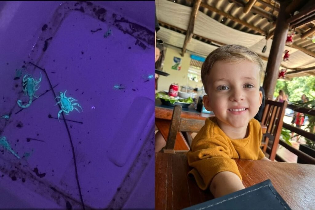 O que aconteceu em Conchal, SP, que gerou preocupação? Um menino de 3 anos, Bernardo de Lima Mendes, morreu após ser picado por um escorpião, gerando alerta na cidade. Quais medidas foram anunciadas para combater escorpiões? Ações incluem cortina de fogo, cinturão químico e captura manual no bairro Jardim Santa Luzia. Por que a morte de Bernardo gerou tanta repercussão? Além da tragédia, não foi o primeiro caso na região, destacando a necessidade de medidas urgentes. Como a população pode se proteger de escorpiões? Tampar ralos, manter vasos sanitários fechados, evitar andar descalço e verificar roupas e calçados. Qual foi a resposta das autoridades locais? A Secretaria de Saúde de Conchal anunciou ações de combate e dedetização na rede de esgoto. Por que Bernardo não recebeu o soro antiescorpiônico em Conchal? O hospital local não é de referência e não possuía o soro disponível. Quais são os sintomas de uma picada de escorpião? Podem incluir dor intensa, inchaço, vômitos e, em casos graves, dificuldade respiratória. Como foi o atendimento médico de Bernardo? Ele foi internado no CTI e, após agravamento, transferido para a Santa Casa de Araras. Quais são as recomendações para evitar acidentes com escorpiões? Redobrar atenção com crianças e idosos, afastar camas da parede e manter ambientes limpos. O que a Prefeitura de Conchal alerta durante as ações de combate? Pode haver aumento temporário no aparecimento de escorpiões durante as medidas de controle.