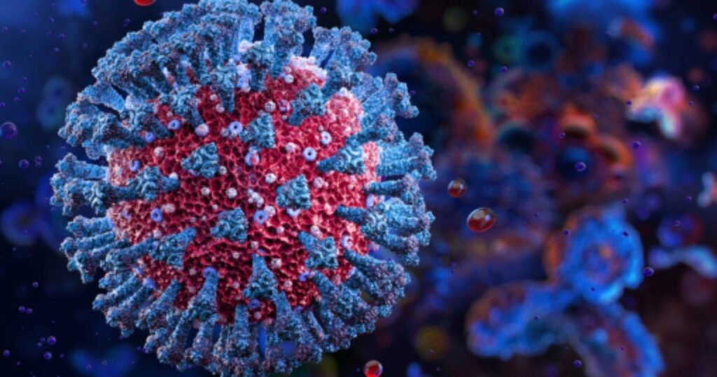 **Variante da COVID-19 Chega a Mais de 20 Países: O Que Você Precisa Saber** Uma nova variante do coronavírus, denominada **BA.3.2** e apelidada de **Cicada** (cigarra, em português), foi identificada em pelo menos 23 países. Segundo o **Centro de Controle e Prevenção de Doenças (CDC)** dos Estados Unidos, a Cicada começou a infectar pessoas na **África do Sul** no final de 2024. Até o momento, nenhum caso foi registrado no Brasil. **O que é a variante Cicada?** A variante Cicada faz parte da família de vírus **Ômicron**, que surgiu em 2021. Apesar de apresentar de 70 a 75 novas mutações, ela ainda compartilha semelhanças genéticas com variantes conhecidas da Ômicron. Isso significa que as vacinas atualizadas, que miram cepas dominantes da Ômicron, conseguem ser eficazes contra a BA.3.2. No entanto, devido às mutações, a proteção pode ser menos eficaz. **Qual é a eficácia das vacinas contra a Cicada?** De acordo com o Dr. **William Schaffner**, professor de doenças infecciosas do Centro Médico da Universidade Vanderbilt, a proteção oferecida pelas vacinas pode ser mais limitada contra essa cepa. A orientação do CDC é que pessoas de alto risco sigam o calendário vacinal estabelecido para evitar quadros graves que exijam hospitalização. **Quais são os sintomas da variante Cicada?** Os sintomas da Cicada são semelhantes aos da COVID-19, incluindo dor de garganta, febre, dor de cabeça, calafrios, tosse e coriza. Esses sintomas também se assemelham aos da gripe, por isso, o CDC recomenda a realização de testes para descartar a presença do vírus COVID-19. **Os testes de COVID-19 são eficazes para detectar a Cicada?** Ainda não se sabe se os testes de COVID-19 serão eficazes para detectar a variante Cicada. No entanto, especialistas apontam que esses testes procuram partes do vírus que sofrem alteração com menos facilidade, o que pode facilitar a identificação do novo vírus. **A Cicada causa casos mais graves de COVID-19?** Até o momento, não há registros de que a variante Cicada esteja causando mais consequências graves do que a COVID-19 em comparação com variantes anteriores. O objetivo das vacinas continua sendo evitar quadros graves que exijam hospitalização. **Por que a Cicada ressurgiu nos EUA?** Apesar de ter sido suplantada por outras variantes, a Cicada ressurgiu nos Estados Unidos cerca de um ano após sua identificação inicial e passou a causar mais infecções. A razão para esse ressurgimento ainda está sendo estudada, mas pode estar relacionada às suas mutações e à capacidade de se espalhar em diferentes populações. **Qual é a recomendação para pessoas de alto risco?** O CDC recomenda que pessoas de alto risco se vacinem contra a COVID-19 seguindo o calendário vacinal estabelecido. A vacinação é crucial para evitar o desenvolvimento de quadros graves e hospitalizações, especialmente em populações vulneráveis. Em resumo, a variante Cicada representa um novo desafio na luta contra a COVID-19, mas as vacinas continuam sendo uma ferramenta essencial na prevenção de casos graves. A vigilância contínua e a adesão às recomendações de saúde pública são fundamentais para controlar a disseminação dessa nova variante.