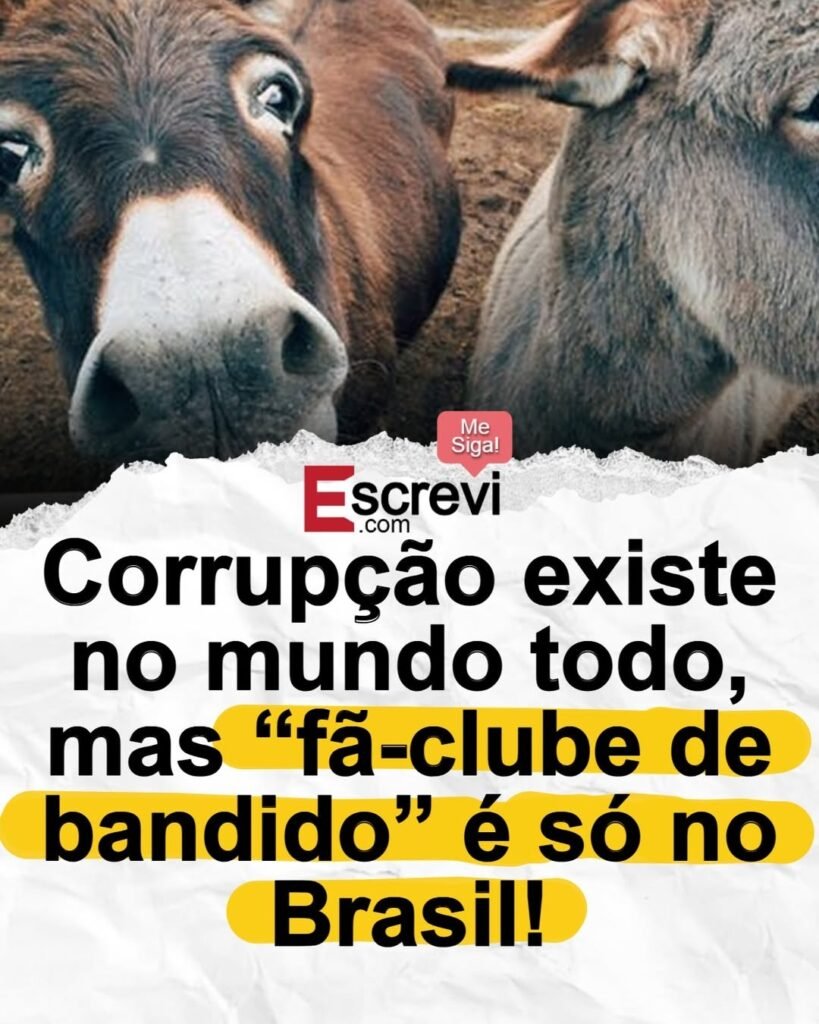 O escândalo não é só a corrupção, é o aplauso. Corrupção existe no mundo inteiro. Ninguém sério nega isso. O problema brasileiro, porém, parece ir além do crime em si. O que chama atenção, revolta e ajuda a explicar por que tanta coisa nunca muda é outro fenômeno: a transformação de político corrupto em figura admirada, defendida e até celebrada por uma espécie de torcida organizada. Como isso se tornou normal? Essa é a pergunta que paira sobre um país em que, em vez de vergonha pública, muitas vezes há militância apaixonada em favor de quem deveria estar moralmente liquidado. Em qualquer sociedade minimamente comprometida com responsabilidade, o corrupto perde prestígio, desaparece da vida pública e carrega o peso da rejeição. Aqui, não raro acontece o contrário. O sujeito é tratado como “perseguido”, “injustiçado” ou “vítima do sistema”. E o que isso revela? Revela uma inversão profunda de valores. Quando o foco sai do dano causado à população e passa a ser a defesa emocional do político envolvido, o debate deixa de ser sobre certo e errado. Vira culto de personalidade. Vira paixão ideológica. Vira blindagem moral. Enquanto isso, o cidadão comum continua preso à realidade. Paga imposto alto, enfrenta serviços precários, convive com desperdício e assiste à elite política se movimentar com impressionante desenvoltura. A conta chega para quem trabalha, produz e sustenta a máquina. Já o ambiente de poder, muitas vezes, segue operando como se nada tivesse acontecido. E há quem ainda ache exagero criticar esse ciclo. Mas por que tanta gente defende o indefensável? A resposta pode estar justamente no tipo de relação que parte do eleitorado desenvolveu com certas figuras públicas. Não se trata mais de apoio racional a ideias ou projetos. Trata-se de identificação cega. O político deixa de ser servidor e passa a ser ídolo. E ídolo, para seus fãs, nunca erra. Se erra, é porque foi provocado. Se é acusado, é porque está sendo perseguido. Se é criticado, a culpa é de quem critica. É nesse ponto que a corrupção deixa de ser apenas um problema institucional e se torna também um problema cultural. Porque não basta haver desvio, privilégio ou abuso. É preciso haver também um ambiente disposto a relativizar tudo isso. E esse ambiente existe quando o corrupto encontra plateia, defesa automática e até admiração pública. No meio dessa distorção, surge uma contradição difícil de ignorar. Os mesmos que dizem querer mudança muitas vezes são os primeiros a proteger os personagens que simbolizam o atraso. Os mesmos que falam em justiça social aceitam com naturalidade que a elite política continue blindada, desde que esteja do lado “certo” da disputa ideológica. E os mesmos que atacam privilégios em discurso frequentemente passam pano para quem vive deles. Então a indignação seletiva ajuda a manter tudo como está? Sim. E talvez esse seja um dos pontos mais incômodos dessa discussão. Porque a corrupção não sobrevive só pela ação de quem pratica. Ela também se fortalece pela tolerância de quem minimiza, justifica ou transforma o escândalo em narrativa conveniente. O mais grave é que isso produz um efeito devastador sobre a noção de responsabilidade pública. Se o político percebe que pode atravessar crises, acusações e desgaste sem perder sua base de apoio, o recado é claro. No Brasil, a punição moral pode ser substituída por marketing, militância e reinterpretação dos fatos. Em vez de rejeição, aplauso. Em vez de cobrança, proteção. E onde isso termina? Termina no descrédito generalizado. Termina na sensação de impunidade. Termina no cansaço de uma população que vê sempre os mesmos nomes, os mesmos vícios e a mesma encenação. O povo sofre, aperta o orçamento, enfrenta a dureza da vida real. Já parte da elite política continua rindo da cara do país, muitas vezes amparada por um fã-clube disposto a chamar de “coitadinho” quem deveria, no mínimo, ser tratado com rigor. No fim, o ponto central é simples e duro. Corrupção há em todo lugar. Mas o Brasil parece ter aperfeiçoado algo ainda mais humilhante: a capacidade de transformar bandido de colarinho branco em celebridade política. E enquanto isso for visto como normal, a mudança continuará sendo apenas discurso. Porque nenhum país melhora de verdade quando troca vergonha por idolatria.