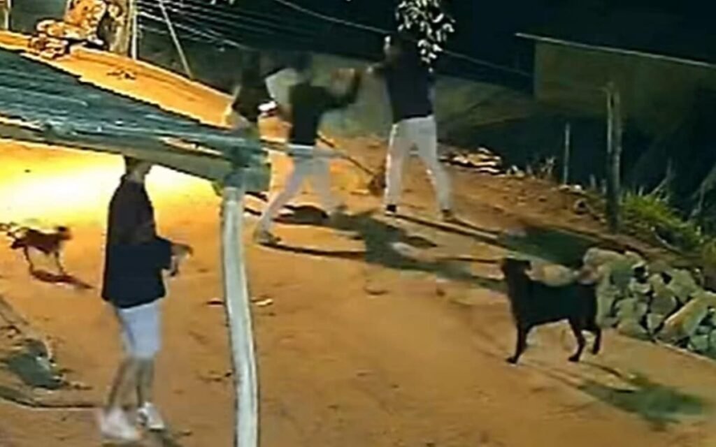 Um influenciador digital, Diogo Calincani, foi flagrado em vídeo agredindo duas garis de 56 e 40 anos em Santana do Manhuaçu, Minas Gerais, enquanto elas apenas trabalhavam limpando a rua. Ofensa, humilhação, empurrão no peito, queda no chão, puxão de cabelo, blusa rasgada, tapa no rosto e uma das vítimas desmaiando. E depois de tudo isso, ele aparece em frente a uma delegacia pedindo “perdão” e culpando a “muita bebida alcoólica” e a falta de remédio. Até quando isso vai ser tratado como erro de momento? As trabalhadoras, servidoras municipais, acreditam que as ofensas tiveram motivação política, já que foram chamadas de “cachorra do Paulinho”, em referência ao prefeito, além de “chifruda” e outras humilhações. Ou seja: além de agredir fisicamente, o influenciador tentou desmoralizar quem está na ponta, quem acorda cedo para limpar a cidade, enquanto ele vive de like e exposição. Que tipo de exemplo é esse para 390 mil seguidores? No vídeo que circula nas redes, uma das garis tenta ignorar as provocações e seguir o serviço. Ele toma a vassoura da mão dela, joga no chão, parte para cima e empurra com força. A outra tenta ajudar a colega caída e também é atacada. Segundo o boletim de ocorrência, teve puxão de cabelo, roupa rasgada e tapa no rosto. Uma delas passou mal, desmaiou e precisou ser levada ao pronto atendimento. E ainda assim, o agressor aparece depois dizendo que está “arrependido” e “a favor da justiça”. Será que alguém ainda cai nesse discurso pronto? A gari Marly Geraldo, de 56 anos, resumiu o sentimento de muita gente ao ouvir o vídeo de desculpas: “Desculpas é pouco”. E é exatamente isso. O Brasil está cansado de ver gente com visibilidade fazer o que quer, gravar um vídeo bem ensaiado e achar que tudo se resolve com um “foi feio o que eu fiz”. Onde fica a responsabilidade real pelos atos? A Polícia Civil de Minas Gerais informou que investiga o caso, ouvindo envolvidos e fazendo diligências. Mas a pergunta que ecoa é: vai dar em quê? Vai ser mais um caso de agressão filmada, revolta nas redes, pedido de perdão emocionado e, depois, esquecimento? Ou finalmente alguém com milhões de visualizações vai sentir que a lei também vale para ele? Enquanto isso, as vítimas, que nunca tinham tido problema com o agressor, seguem com a marca da violência e da humilhação. Elas não têm assessoria de imagem, não têm vídeo editado em frente à delegacia, não têm perfil com centenas de milhares de seguidores. Têm apenas a verdade do que viveram e a coragem de dizer que “desculpas é pouco”. Quantas vezes o trabalhador humilde vai precisar ser pisado para que a justiça funcione de verdade? Por que influenciador fez isso? Porque, segundo ele, misturou álcool, falta de remédio e perdeu o controle, mas nada disso justifica agredir duas mulheres trabalhadoras na rua. Até quando agressão terá desculpa? Até a sociedade e a Justiça pararem de aceitar vídeo de perdão como solução e começarem a cobrar punição exemplar. Bebida justifica violência contra mulheres? Não. Bebida não transforma inocente em agressor, apenas revela o que já está dentro da pessoa e nunca pode ser usada como escudo. Por que vítimas rejeitaram o perdão? Porque sofreram humilhação, agressão física, desmaio e exposição pública, e sabem que um vídeo não apaga o trauma vivido. A internet está premiando esse comportamento? Quando dá audiência, repercussão e curiosidade sem cobrança real, acaba fortalecendo quem faz de tudo por visibilidade. Servidores municipais viraram alvo político? Sim, as próprias vítimas acreditam que foram atacadas por serem ligadas à prefeitura, misturando ódio político com covardia pessoal. A polícia vai enquadrar o agressor? A investigação está em andamento, mas a pressão pública pode ser decisiva para que o caso não termine em punição branda. Por que o Brasil está tão cansado disso? Porque virou rotina ver gente famosa pedindo desculpa em vídeo depois de passar dos limites, sem sentir de verdade o peso da lei. Vídeo de perdão resolve agressão grave? Não. No máximo mostra que o agressor percebeu a repercussão, mas não substitui processo, condenação e reparação às vítimas. Quem protege as trabalhadoras humildes hoje? Na prática, apenas a lei bem aplicada, a pressão da opinião pública e a coragem delas de não aceitarem ser silenciadas novamente.
