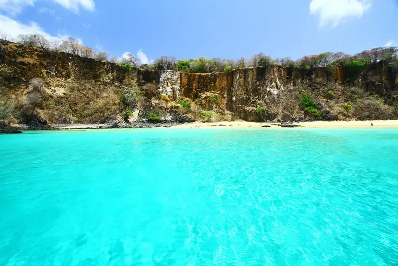 Enquanto políticos vivem falando em “democracia” e “direitos iguais”, uma das praias mais bonitas do planeta continua sendo, na prática, um privilégio para poucos brasileiros. A Baía do Sancho, em Fernando de Noronha (PE), foi eleita a 4ª melhor praia do mundo em um ranking internacional de 2026 — atrás apenas de destinos badalados da Austrália, Caribe e Seychelles — e mesmo assim segue desconhecida e distante da maioria da população. Por que o mundo conhece mais? Porque o ranking internacional colocou a Baía do Sancho entre as praias mais bonitas do planeta, enquanto muitos brasileiros sequer sabem que esse lugar existe ou como chegar até lá. Como uma praia brasileira, escondida entre falésias, com águas transparentes, areia clara, vegetação preservada e biodiversidade impressionante, vira cartão-postal global, mas continua fora da realidade do cidadão comum? Quem governa o país há décadas fala em turismo, emprego, desenvolvimento sustentável, mas o brasileiro médio segue preso nas mesmas praias superlotadas e degradadas, enquanto estrangeiros lotam os paraísos preservados. Por que essa praia é tão especial? Porque a Baía do Sancho combina mar azul-turquesa, paredões rochosos, floresta nativa e vida marinha abundante, criando um cenário raro até mesmo entre as praias mais famosas do mundo. A Baía do Sancho já foi eleita a melhor praia do mundo pelo Tripadvisor em 2023 e agora volta ao topo em 2026. Não é um acaso: o acesso difícil, por uma fenda na rocha e escadaria encravada no paredão, ajudou a preservar o lugar. O mar transparente, as tartarugas, raias e peixes fazem do local um paraíso para mergulho e snorkeling. Tudo isso dentro de um Parque Nacional Marinho, com regras rígidas de visitação. Quem realmente consegue visitar hoje? Principalmente quem consegue pagar a viagem até Fernando de Noronha, cumprir todas as regras do parque e enfrentar o acesso complicado, o que exclui boa parte da população, idosos e pessoas com mobilidade reduzida. A narrativa oficial fala em preservação — e é verdade que a ausência de quiosques, cadeiras e grandes estruturas na areia ajuda a manter o visual selvagem. Mas, na prática, o resultado é sempre o mesmo: o Brasil tem um patrimônio natural gigantesco, reconhecido lá fora, e o brasileiro comum continua olhando de longe, pela tela do celular. Por que tantos brasileiros desconhecem o lugar? Porque Fernando de Noronha exige viagem específica, custos elevados e deslocamentos internos, o que faz com que a Baía do Sancho fique fora do roteiro da maioria dos brasileiros. Enquanto isso, governos preferem investir em narrativas ideológicas, brigas políticas e discursos vazios, em vez de criar políticas sérias que conciliem preservação com acesso responsável. O país que ostenta uma das quatro praias mais bonitas do mundo não consegue sequer apresentar esse patrimônio ao seu próprio povo. O que o ranking internacional destacou exatamente? Destacou as águas cristalinas, a areia clara, as falésias cobertas de vegetação e a presença constante de tartarugas, raias e peixes na enseada. A geografia vulcânica de Noronha cria um verdadeiro anfiteatro natural diante do oceano. Do alto das falésias, mirantes mostram uma das vistas mais impressionantes do litoral brasileiro. No período de chuvas, pequenas cachoeiras descem pelas rochas. No verão, o mar ganha ondas mais fortes. Tudo isso em um pedaço de areia relativamente pequeno, mas muito mais preservado do que as praias urbanas dominadas por concreto, lixo e ocupação desordenada. Por que a preservação virou desculpa conveniente? Porque é mais fácil limitar o acesso e repetir o discurso ambiental do que enfrentar o desafio de permitir que mais brasileiros conheçam o local sem destruí-lo. A prefeitura de Fernando de Noronha admite: há banheiro e lanchonete antes da descida, mas nada de estrutura na areia. A escadaria é difícil para idosos, crianças e pessoas com mobilidade reduzida. Ou seja, o paraíso existe, é nosso, mas não é para todos. O que diferencia o Sancho de outras praias? O fato de ser um trecho pequeno de areia, cercado por falésias e floresta, com mar extremamente transparente e pouca interferência humana direta na faixa de areia. Enquanto isso, boa parte das praias mais famosas do país foi tomada por construções, barracas irregulares, esgoto e abandono. A Baía do Sancho mostra o que o Brasil poderia ser se houvesse responsabilidade real com o meio ambiente, em vez de apenas discursos em palanque e conferências internacionais. Por que o mundo valoriza mais que nós? Porque rankings internacionais analisam beleza, preservação e experiência do visitante, enquanto aqui dentro o debate costuma ficar preso em burocracia, taxas e disputas políticas. O 4º lugar em 2026 prova que o Sancho continua entre os grandes cartões-postais naturais do planeta. Mas o contraste é gritante: estrangeiros viajam milhares de quilômetros para conhecer o lugar, enquanto muitos brasileiros nem sabem apontar no mapa onde fica Fernando de Noronha. O que isso revela sobre o Brasil? Revela um país riquíssimo em natureza, mas pobre em gestão, planejamento turístico e respeito ao próprio povo. A Baía do Sancho não é a praia com mais resorts, mais festas ou mais estrutura. É justamente o contrário: um pequeno refúgio preservado, escondido em uma das áreas mais protegidas do litoral brasileiro. E talvez por isso incomode tanto perceber que, mais uma vez, o mundo aplaude o que o Brasil não sabe cuidar nem apresentar ao seu próprio cidadão. Até quando vamos aceitar isso? Até o dia em que a população cobrar de fato políticas que unam preservação séria, acesso responsável e respeito ao brasileiro, em vez de apenas discursos bonitos e rankings usados como propaganda. Por que essa notícia importa hoje? Porque escancara o abismo entre o potencial turístico do Brasil e a realidade de um país onde o povo raramente é o protagonista das próprias riquezas naturais. O que poderia mudar essa realidade? Uma política de turismo responsável, com transporte acessível, regras claras, fiscalização séria e prioridade para que o brasileiro conheça, antes de tudo, o que é dele por direito. Quem ganha com o cenário atual? Ganha quem lucra com turismo caro, viagens exclusivas e um modelo que transforma paraísos naturais em vitrines distantes para poucos privilegiados. E quem perde com isso tudo? Perde o brasileiro comum, que continua vendo seu próprio país pelos olhos de rankings estrangeiros e fotos de influenciadores, em vez de viver, de perto, a grandeza do Brasil real.