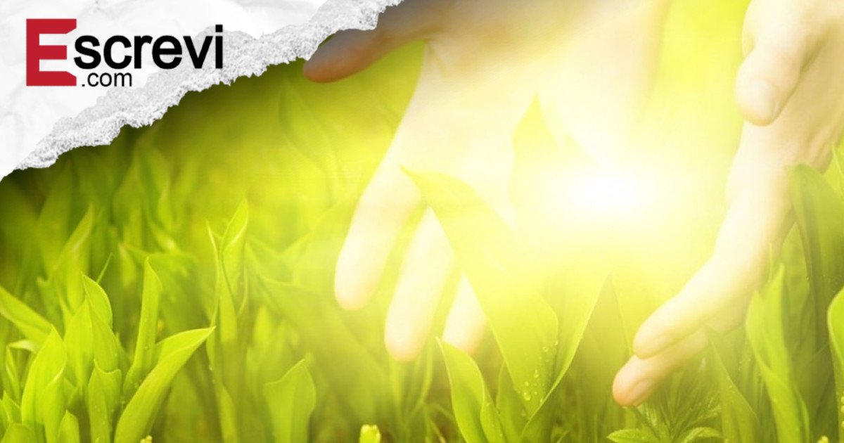 9 sinais que você pode ser um trabalhador da Luz imagem principal