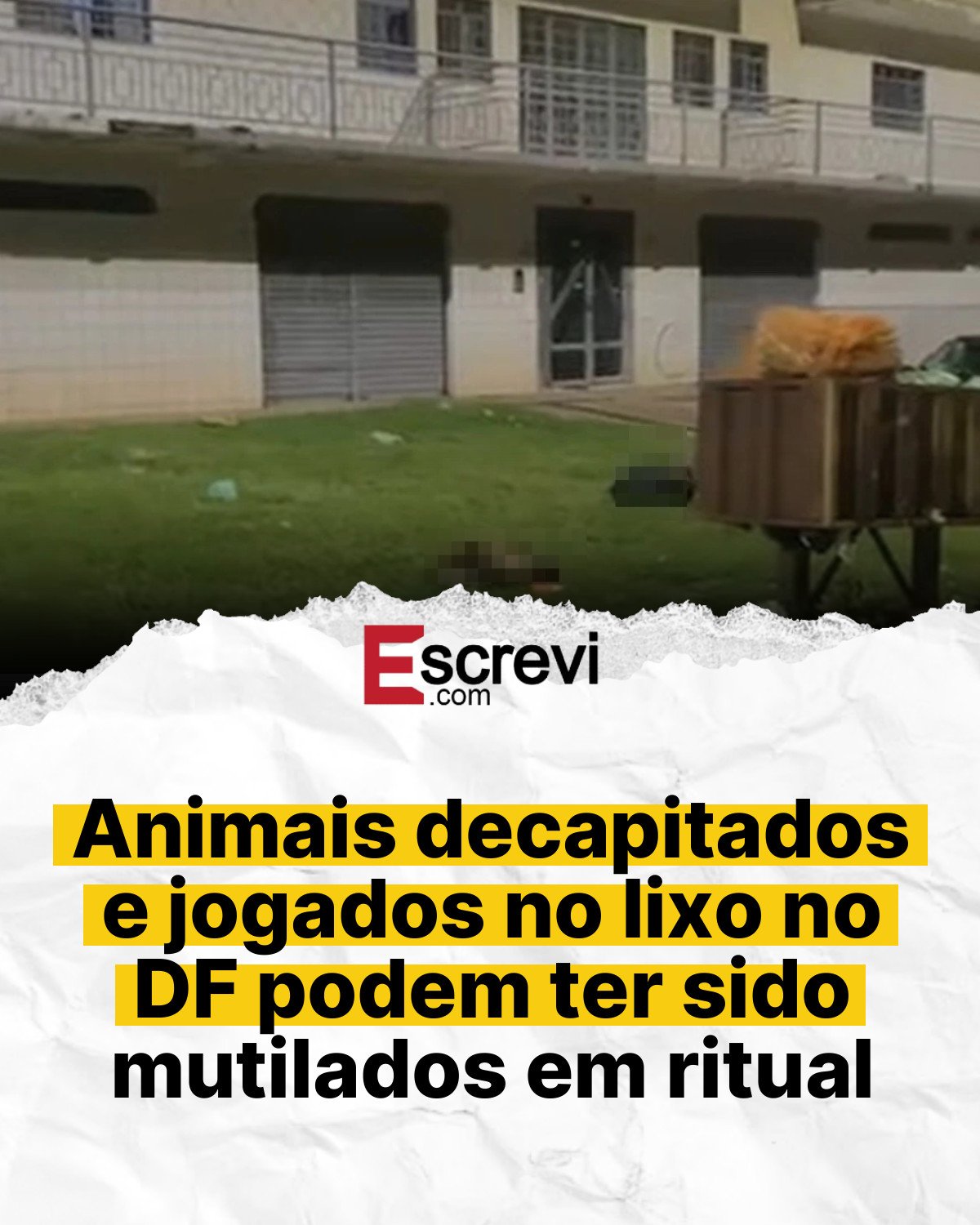 Animais decapitados e jogados no lixo no DF podem ter sido mutilados em ritual card branco