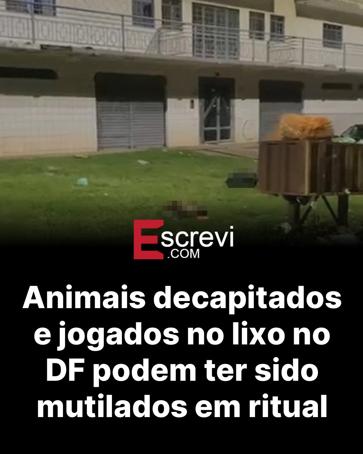 Animais decapitados e jogados no lixo no DF podem ter sido mutilados em ritual card preto