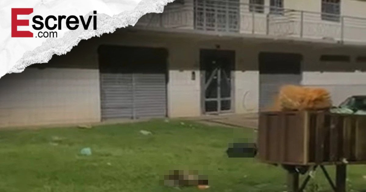 Animais decapitados e jogados no lixo no DF podem ter sido mutilados em ritual imagem principal
