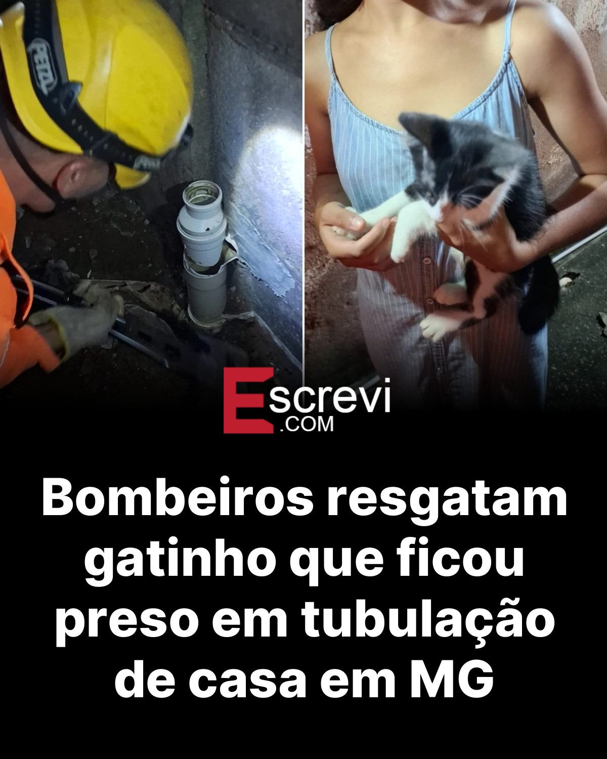 Bombeiros resgatam gatinho que ficou preso em tubulação de casa em MG card preto
