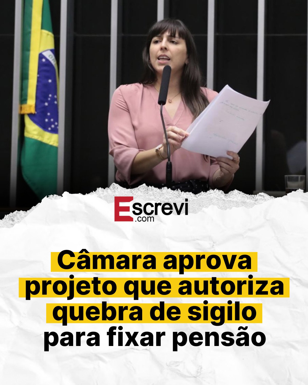 Câmara aprova projeto que autoriza quebra de sigilo para fixar pensão card branco