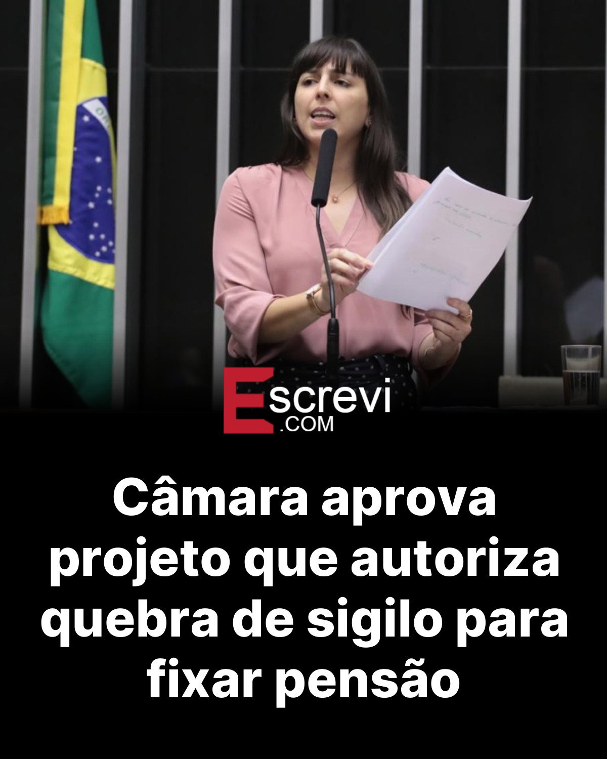 Câmara aprova projeto que autoriza quebra de sigilo para fixar pensão card preto