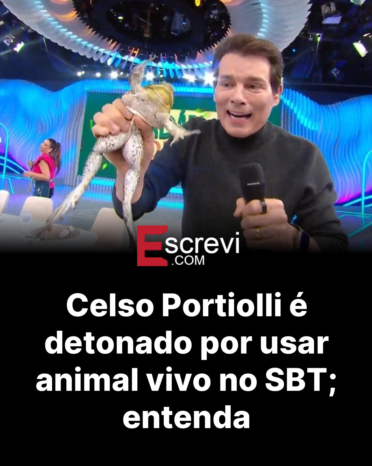 Celso Portiolli é detonado por usar animal vivo no SBT; entenda card preto