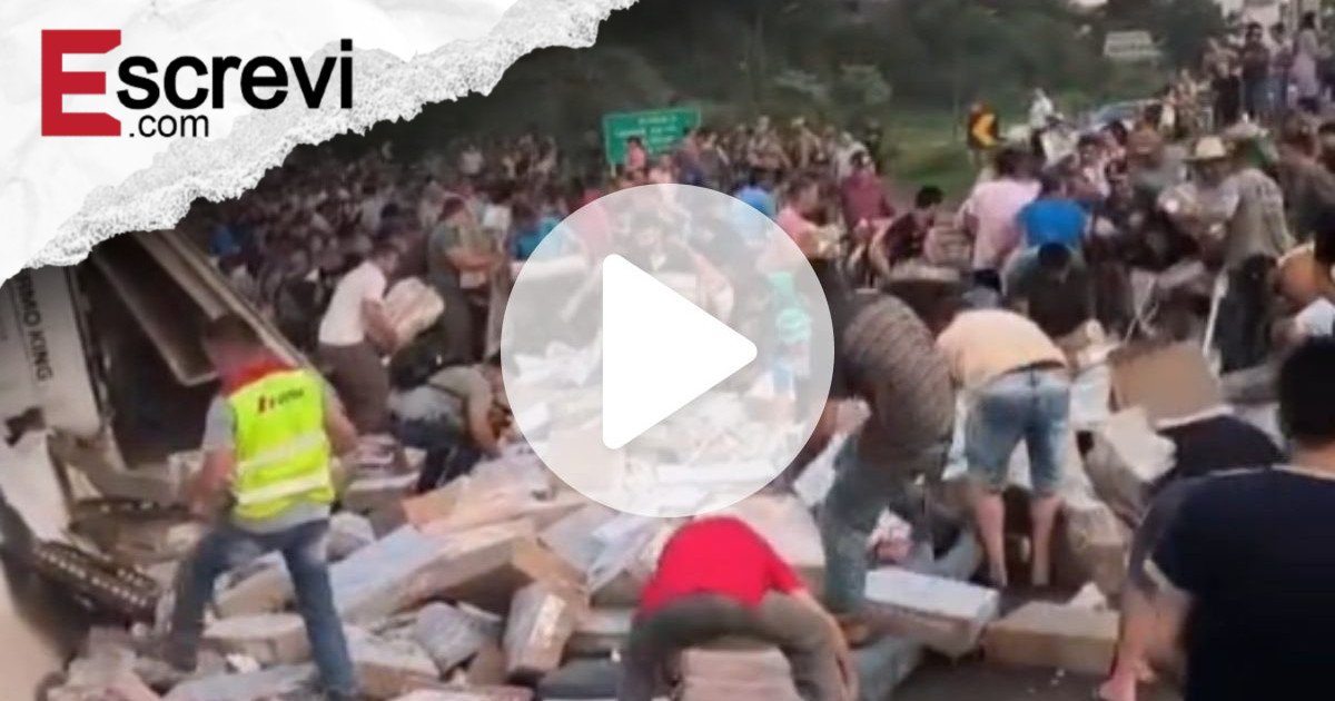 Cenas de caos na BR-282: multidão carrega carga de carne após acidente em SC imagem principal
