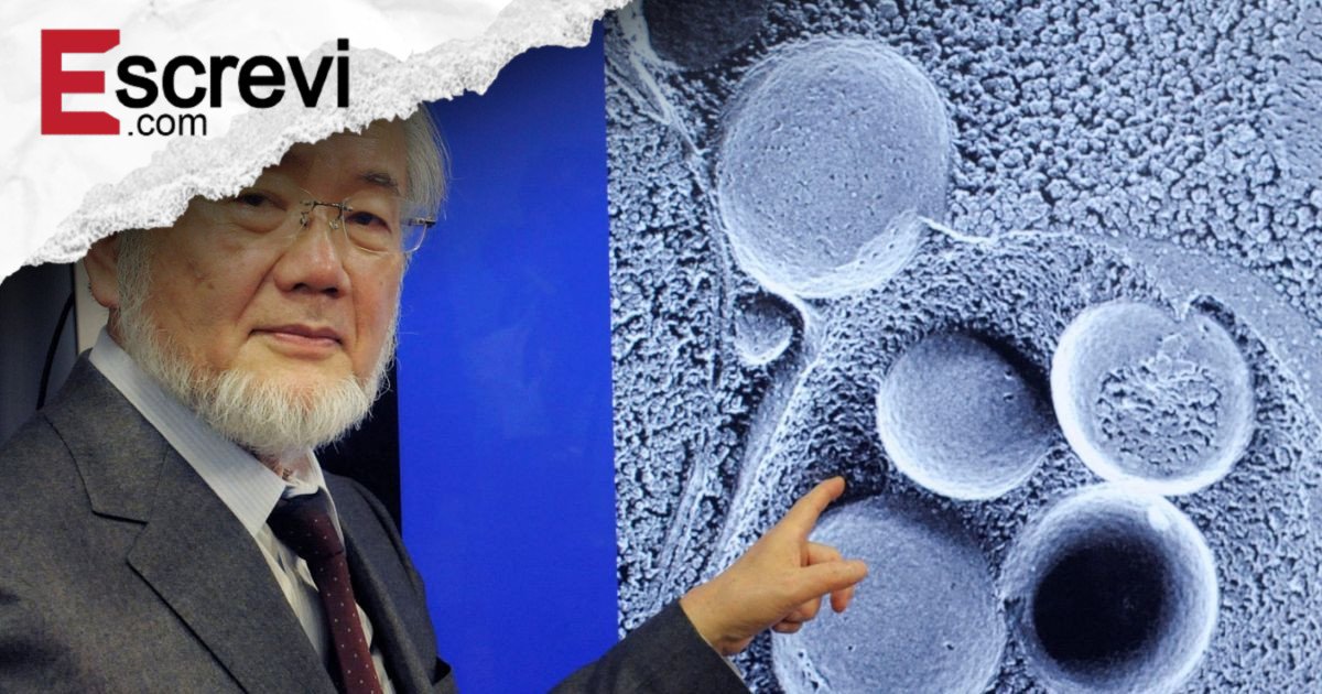 Cientista japonês revela como o jejum pode prevenir doenças como câncer e Alzheimer imagem principal