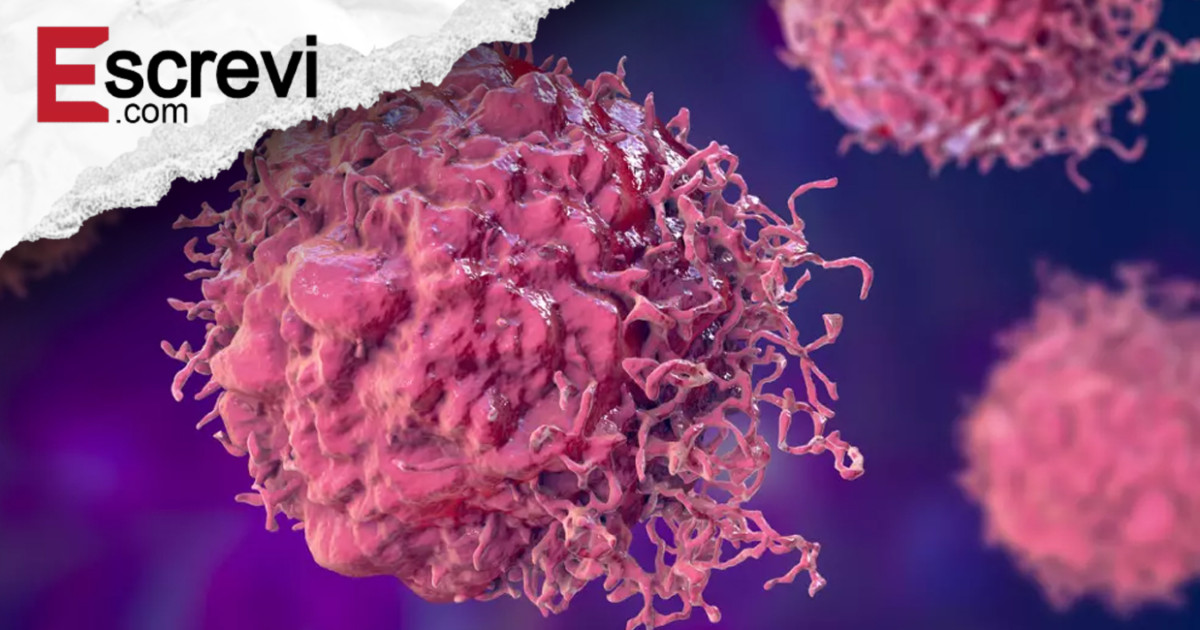 Cientistas descobrem célula capaz de destruir câncer de próstata, mama, pulmão e outros imagem principal