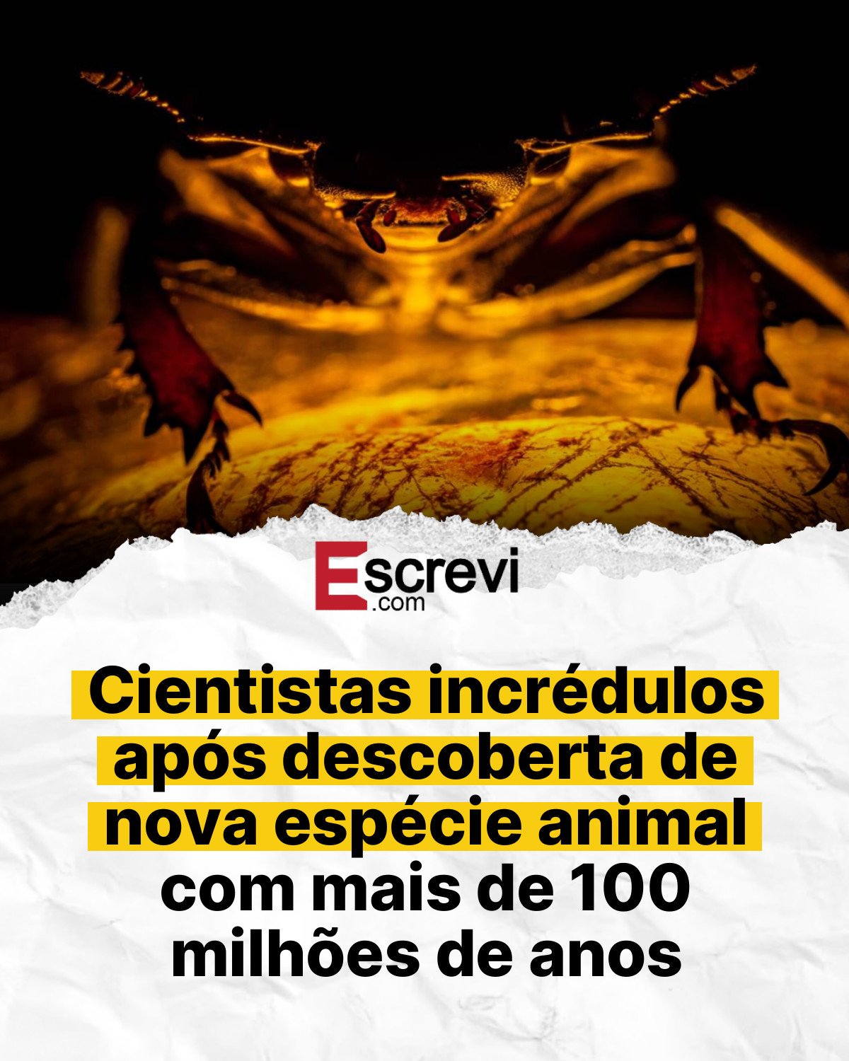 Cientistas incrédulos após descoberta de nova espécie animal com mais de 100 milhões de anos card branco