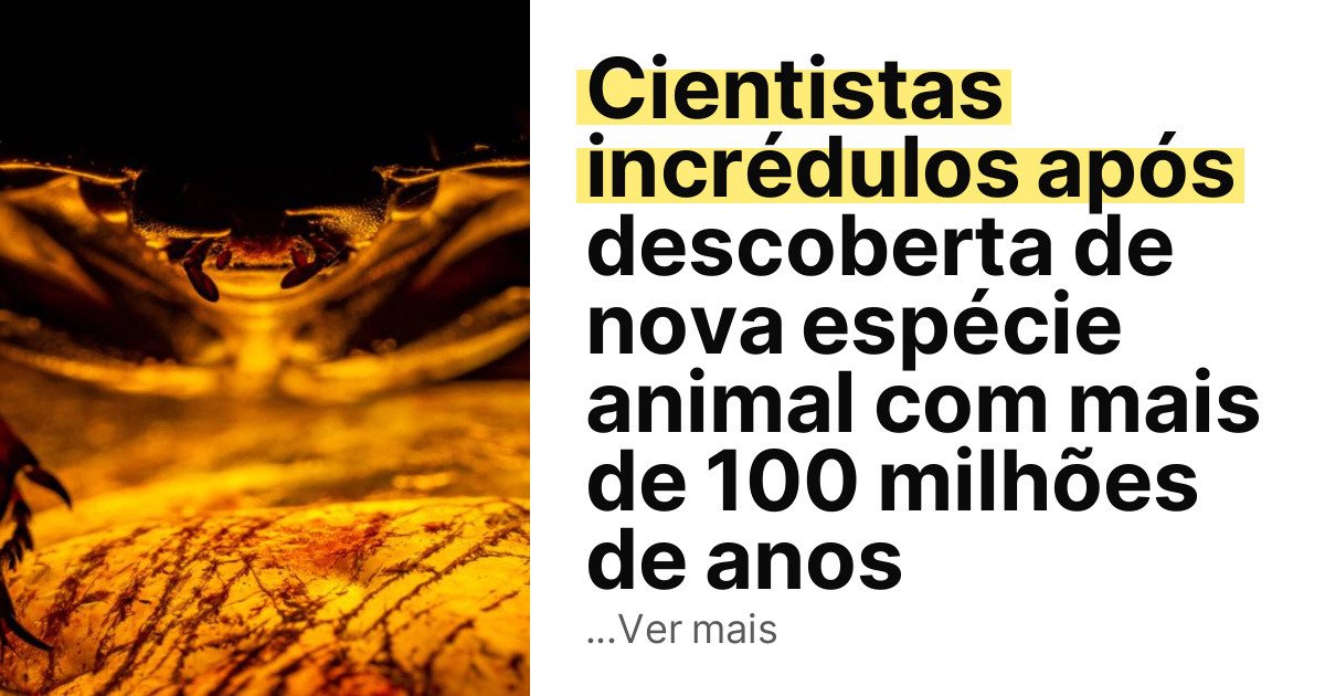 Cientistas incrédulos após descoberta de nova espécie animal com mais de 100 milhões de anos imagem principal